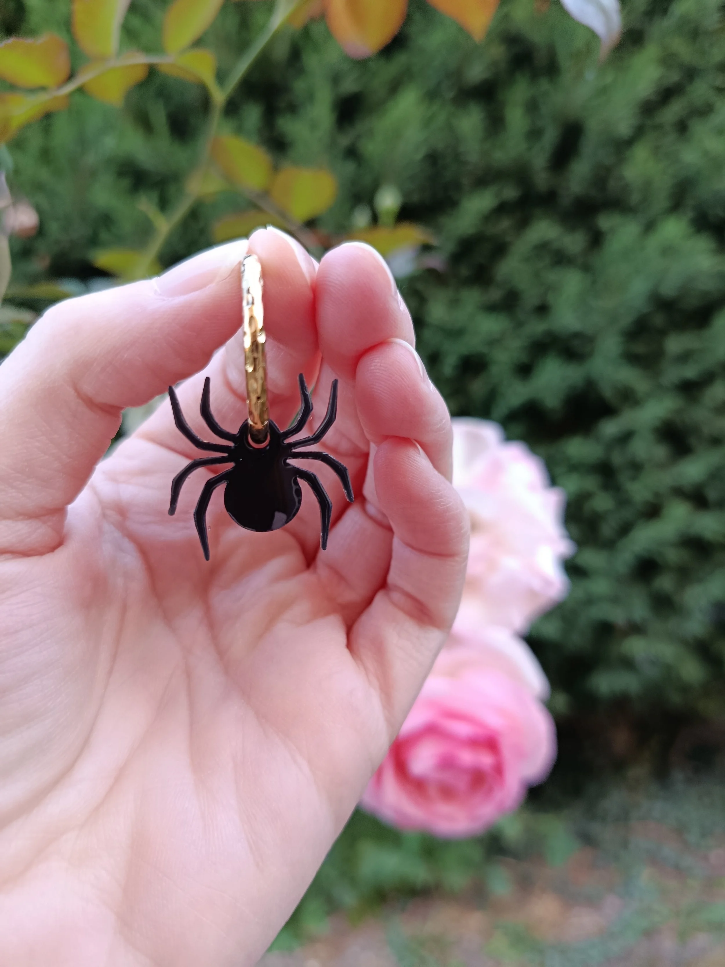 Pampilles Spider