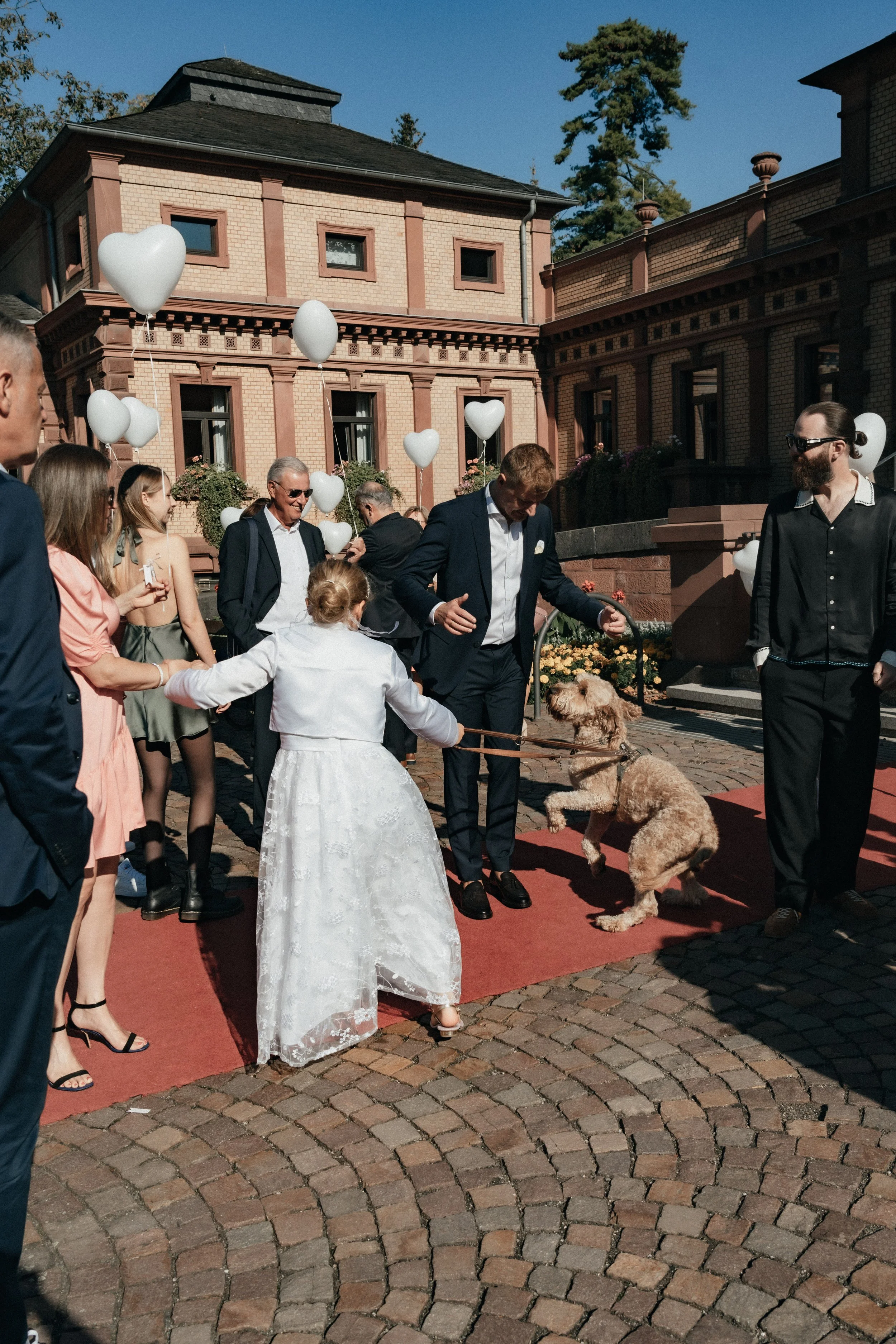 Dog is excited to see his owner in this wedding moment taken by storytelling wedding photographer Di Salvo.