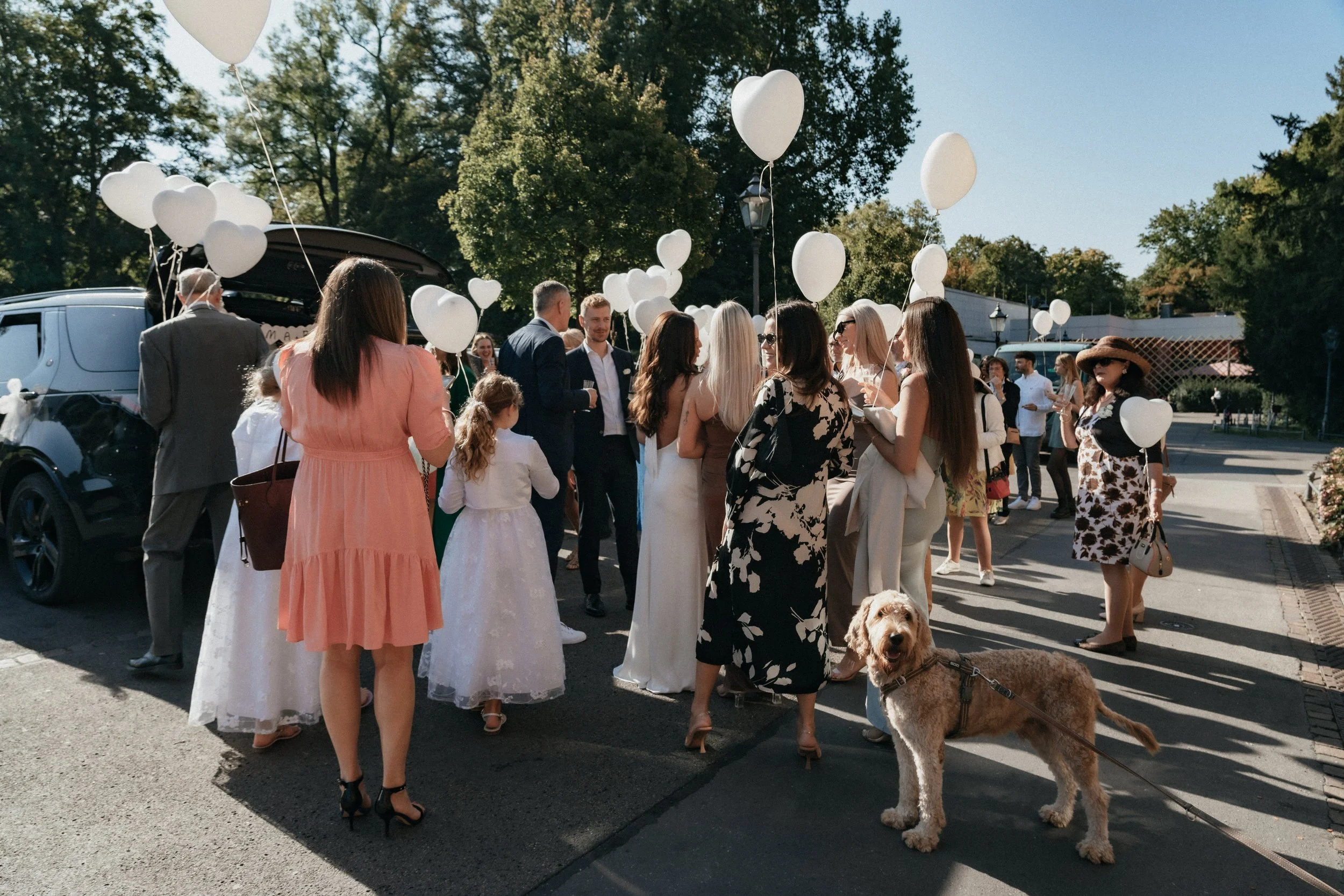 Small but intimate wedding celebration with dog included, picture by wedding photographer Di Salvo.
