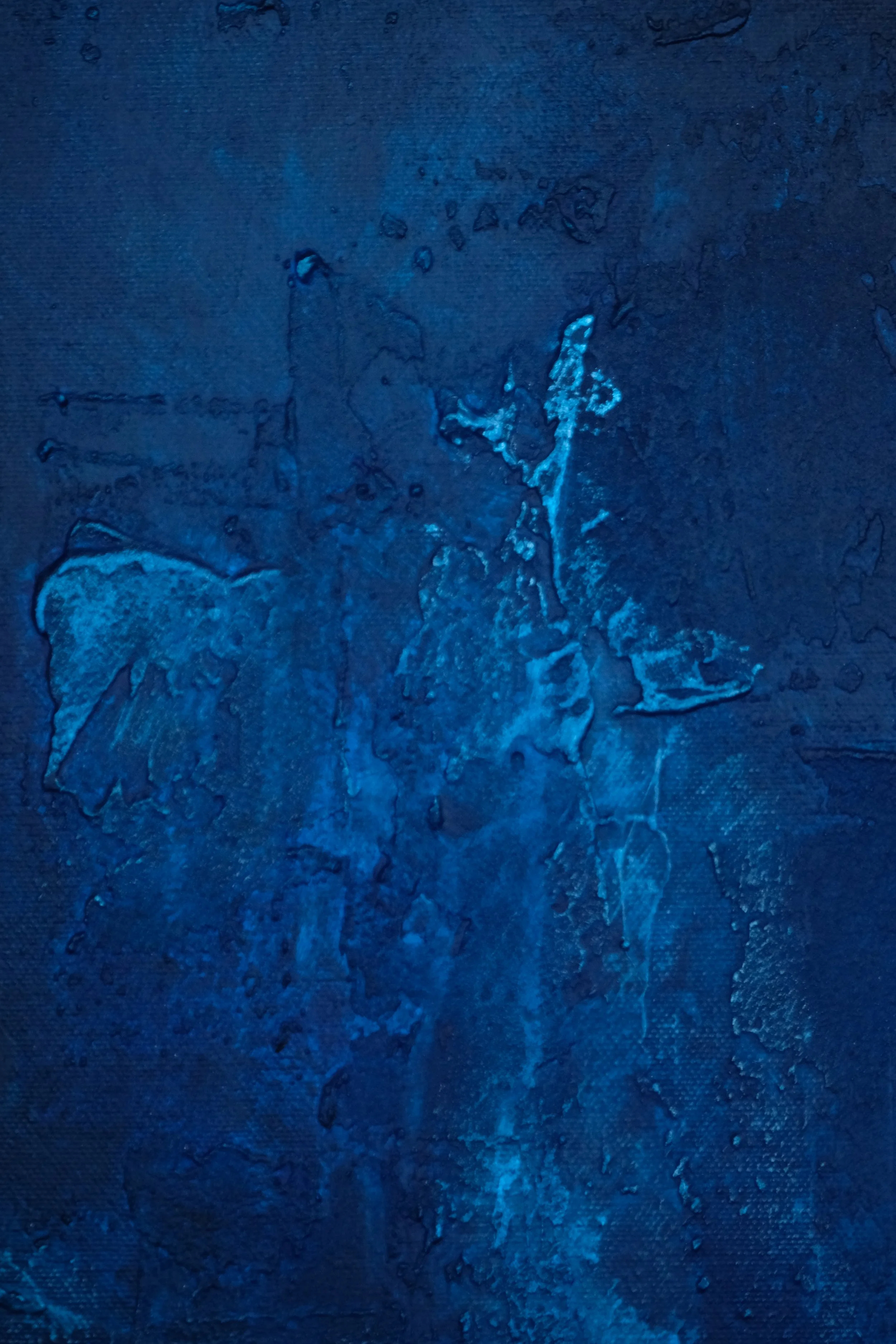 DSCF0648.JPG