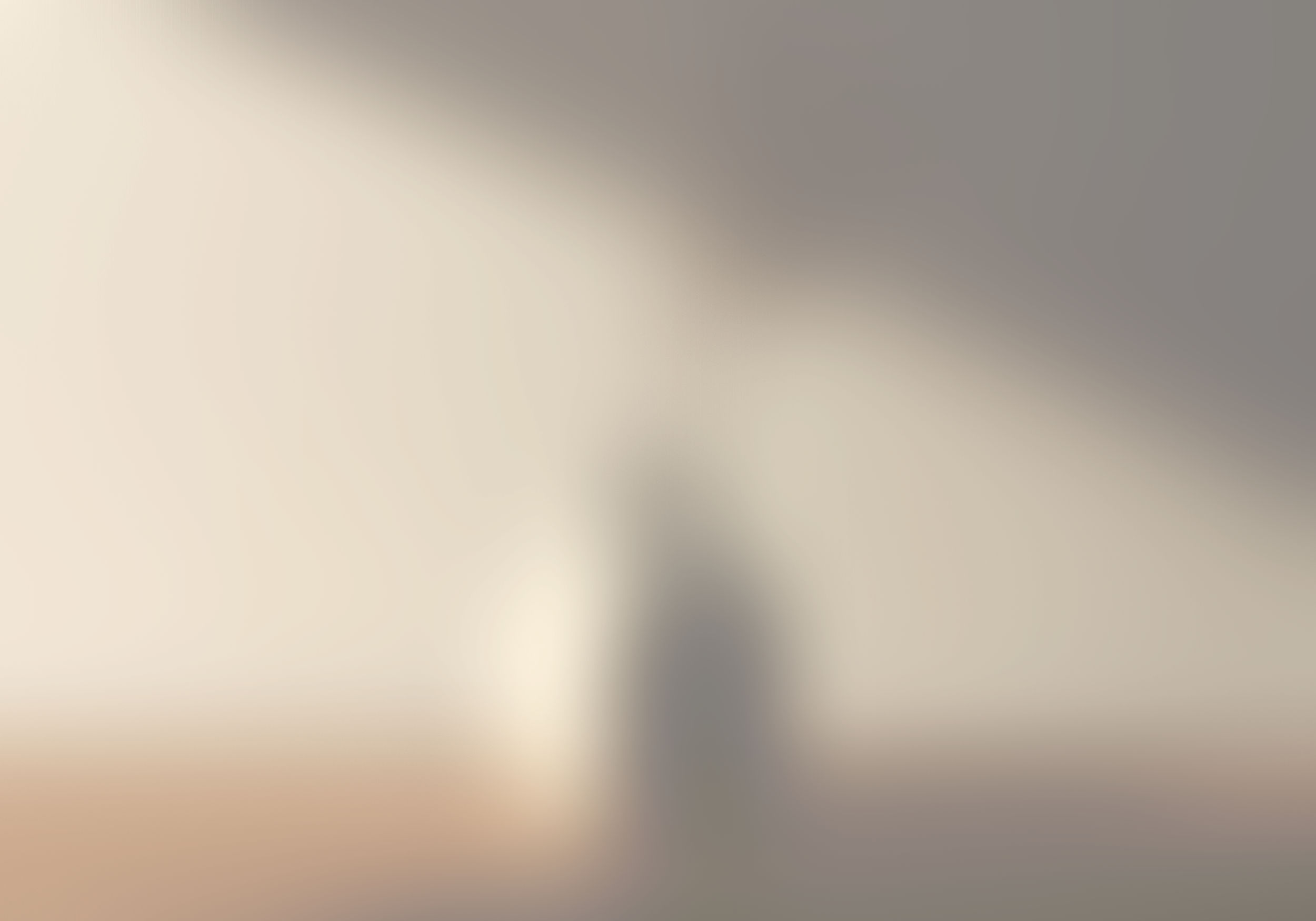 A blurred image with abstract shades of beige, gray, and tan.