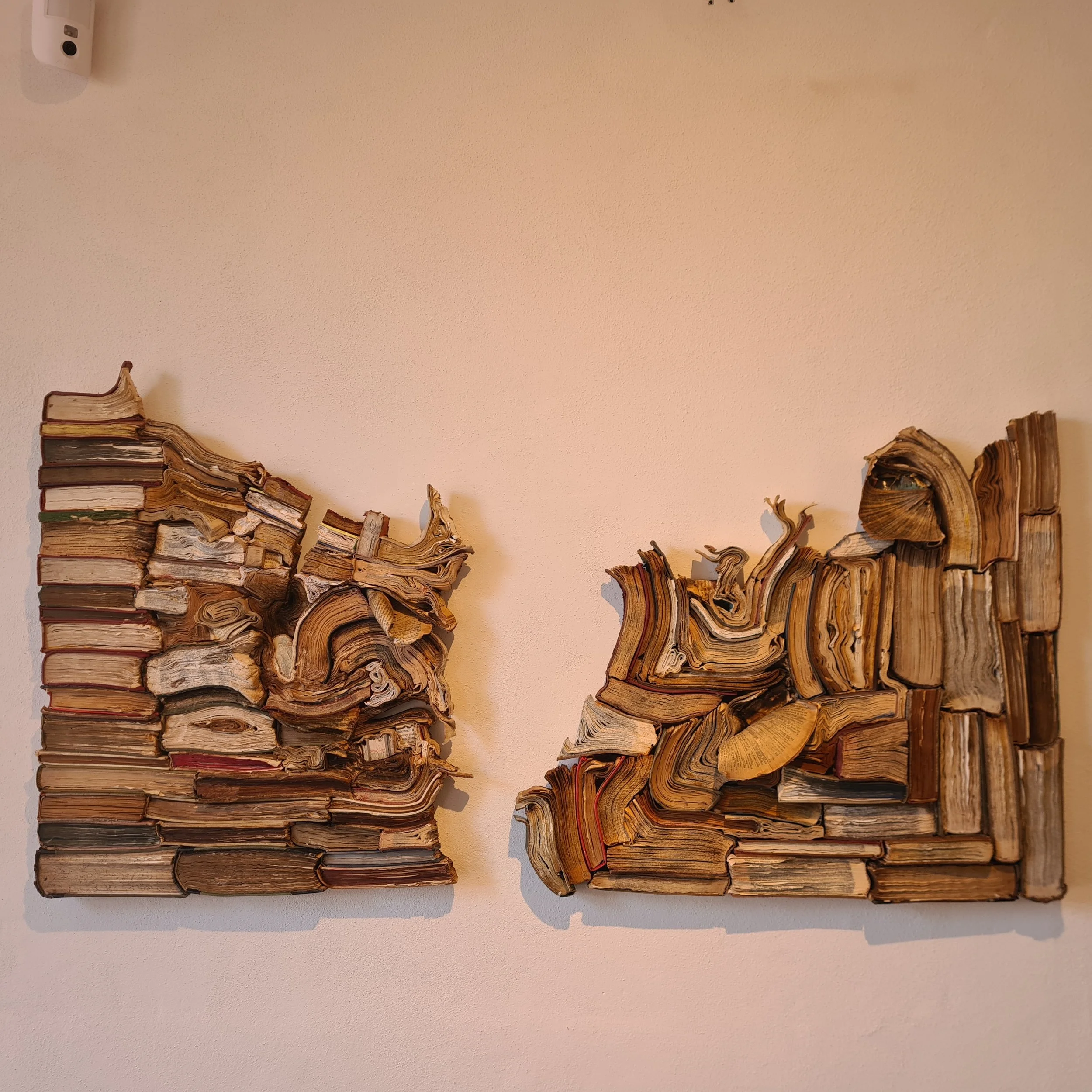 The Passage of Knowledge - Dick Visser