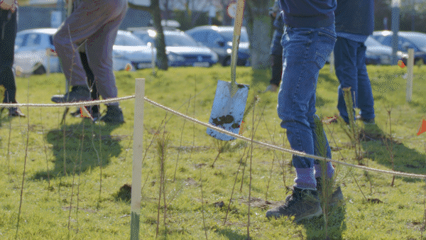 IADT's Green Week
