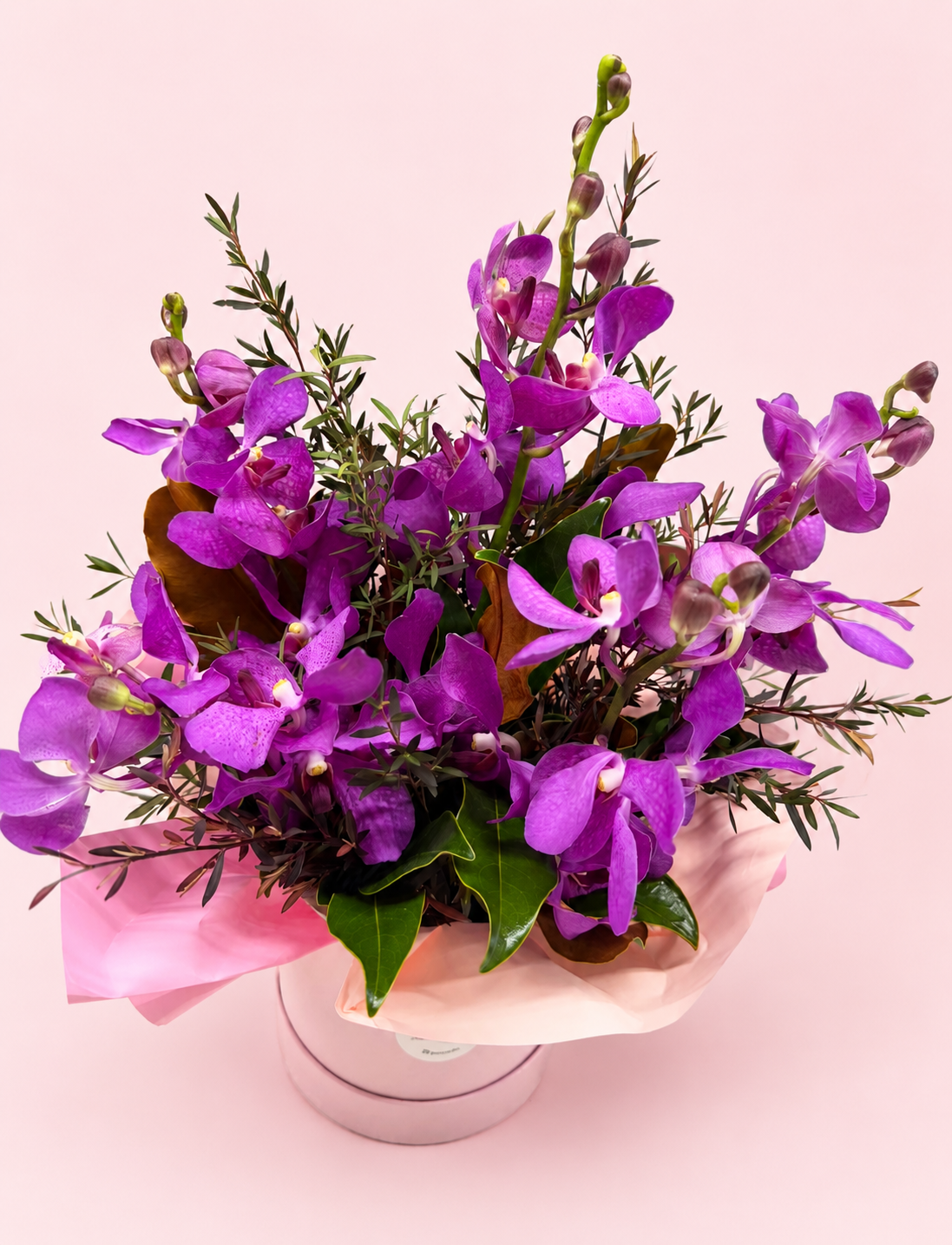 B15817AC-8357-4D82-82DB-0332D3A18B28.png