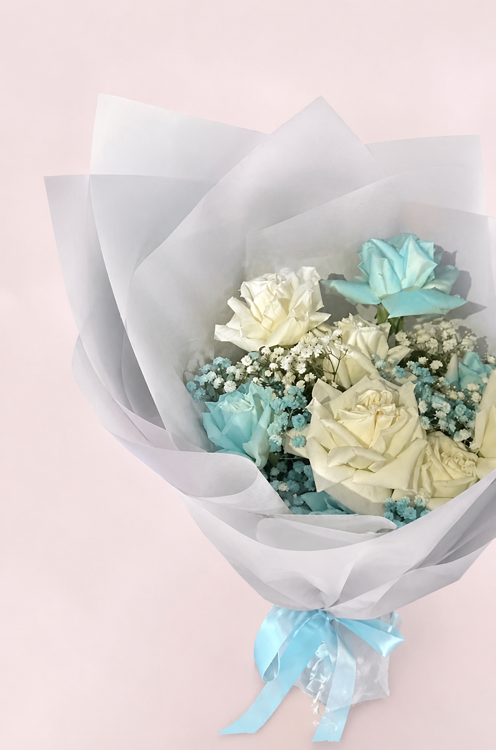 58CDD924-10A9-4F3B-9058-C461AAC4335A.png