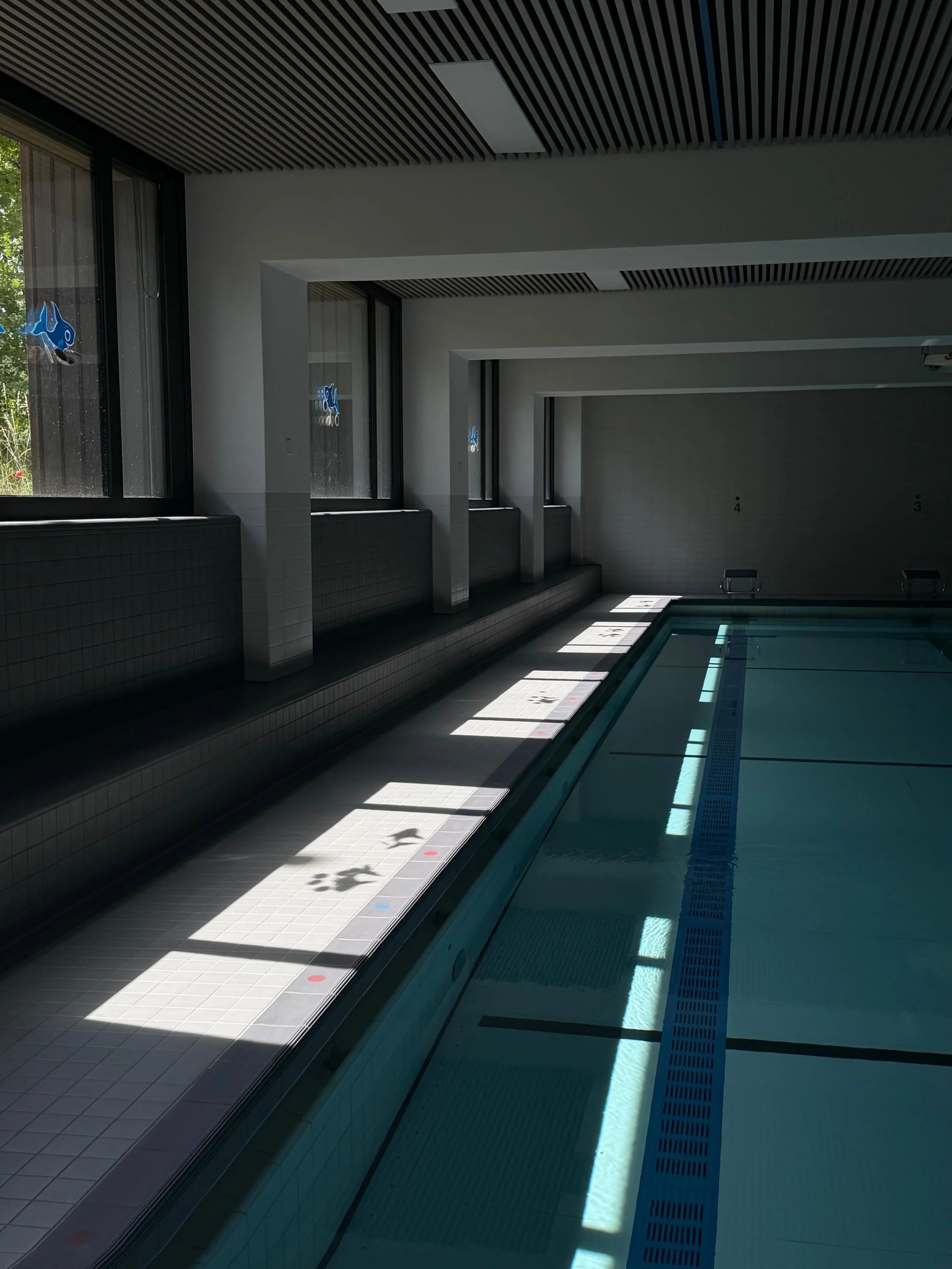 Indoor swimming pool with sunlight streaming through large windows, creating shadows on the tiled floor and poolside area.