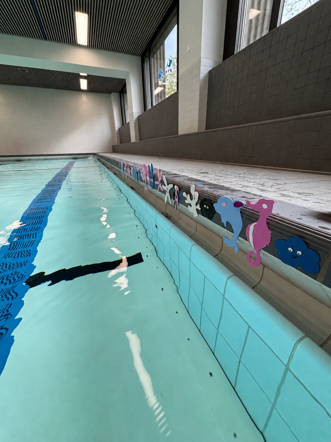 Baby Swimming — Trimester 1