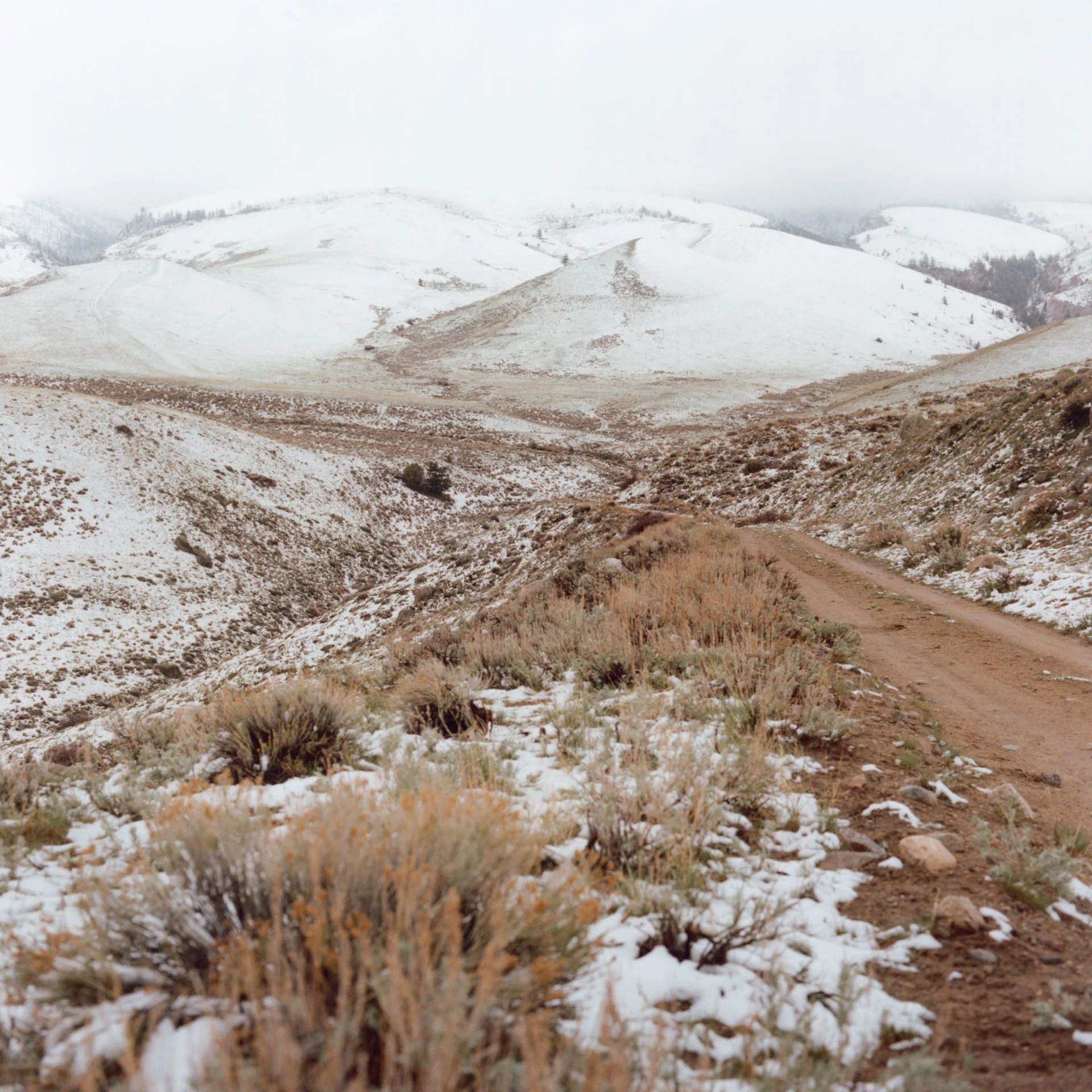 Wind River Indian Reservation is thirty-five-hundred square miles of prairie and mountains in western Wyoming. The reservation is home to bitter ancestral enemies: the Eastern Shoshone and Northern Arapaho tribes.  The two tribes were forced to share