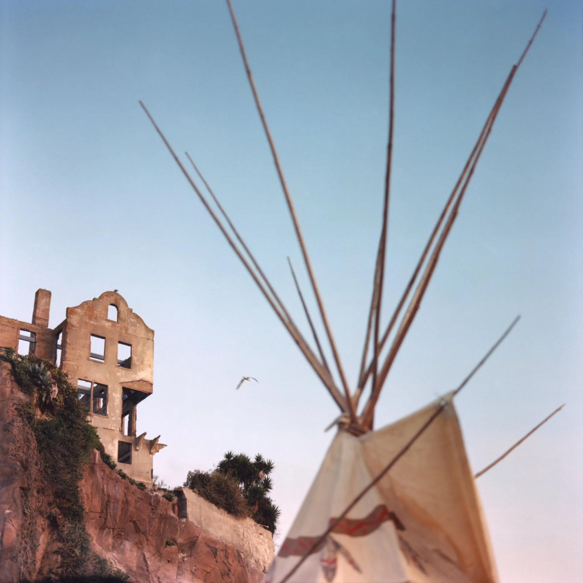 Every year, Native American groups travel to Alcatraz island to participate in a sunrise ceremony on “Thanksgiving Day” as a way to commemorate the victims of murder and genocide that occurred on what most Americans celebrate as festive Thanksgiving 