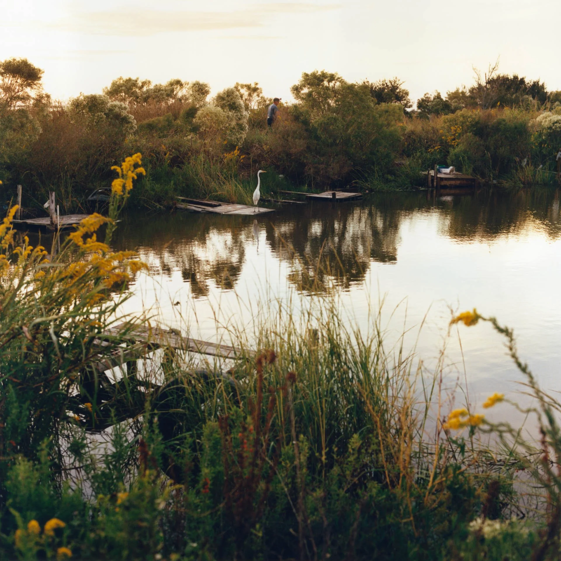 The tiny levee that encompasses the island helps to keep out water from small currents and tidal forces, but it has also displaced the major food source for the community: fish, crab, and shrimp.