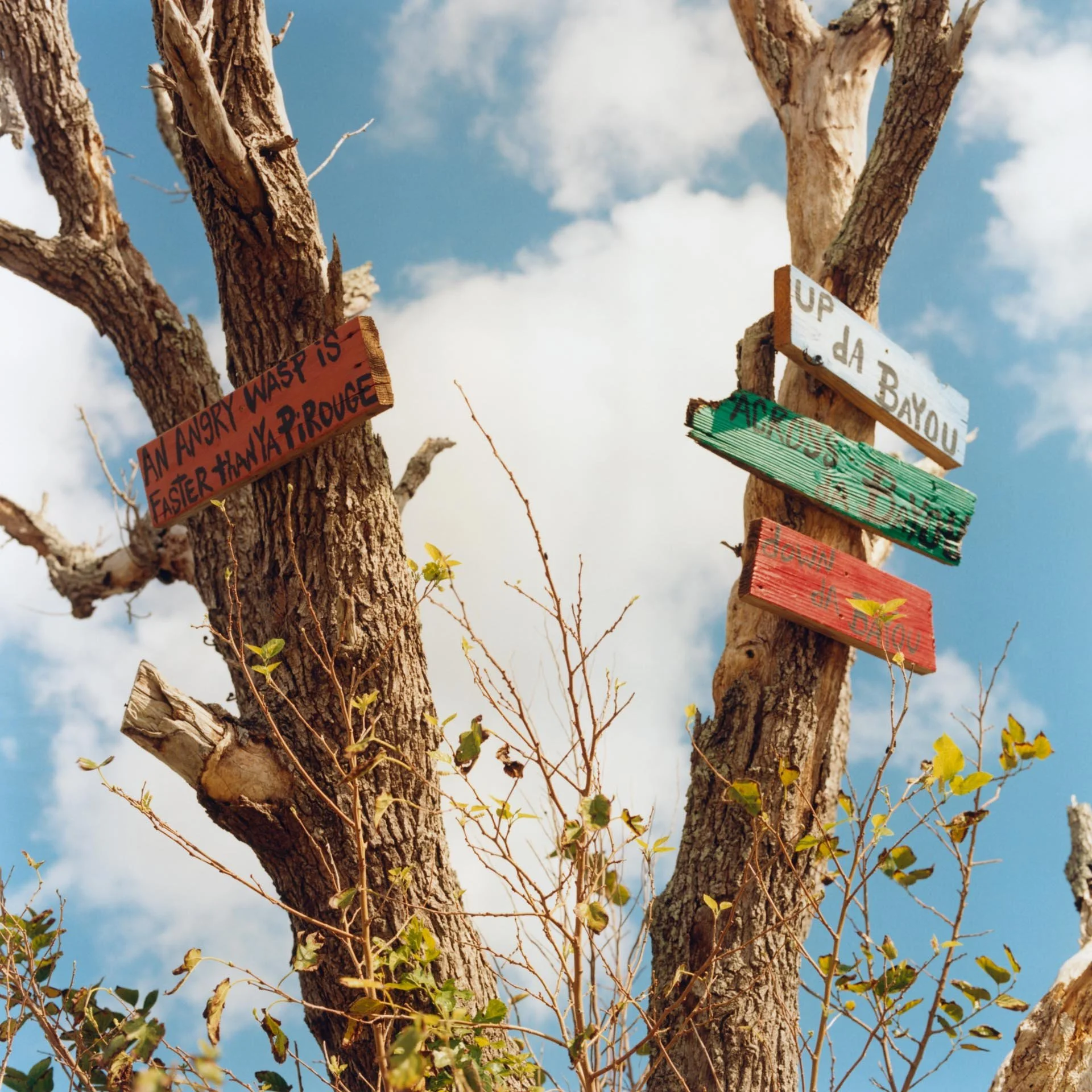 "An Angry Wasp is faster than ya pirogue": Hand made signs near Pointe au Chien, deep in the Louisiana bayous. 