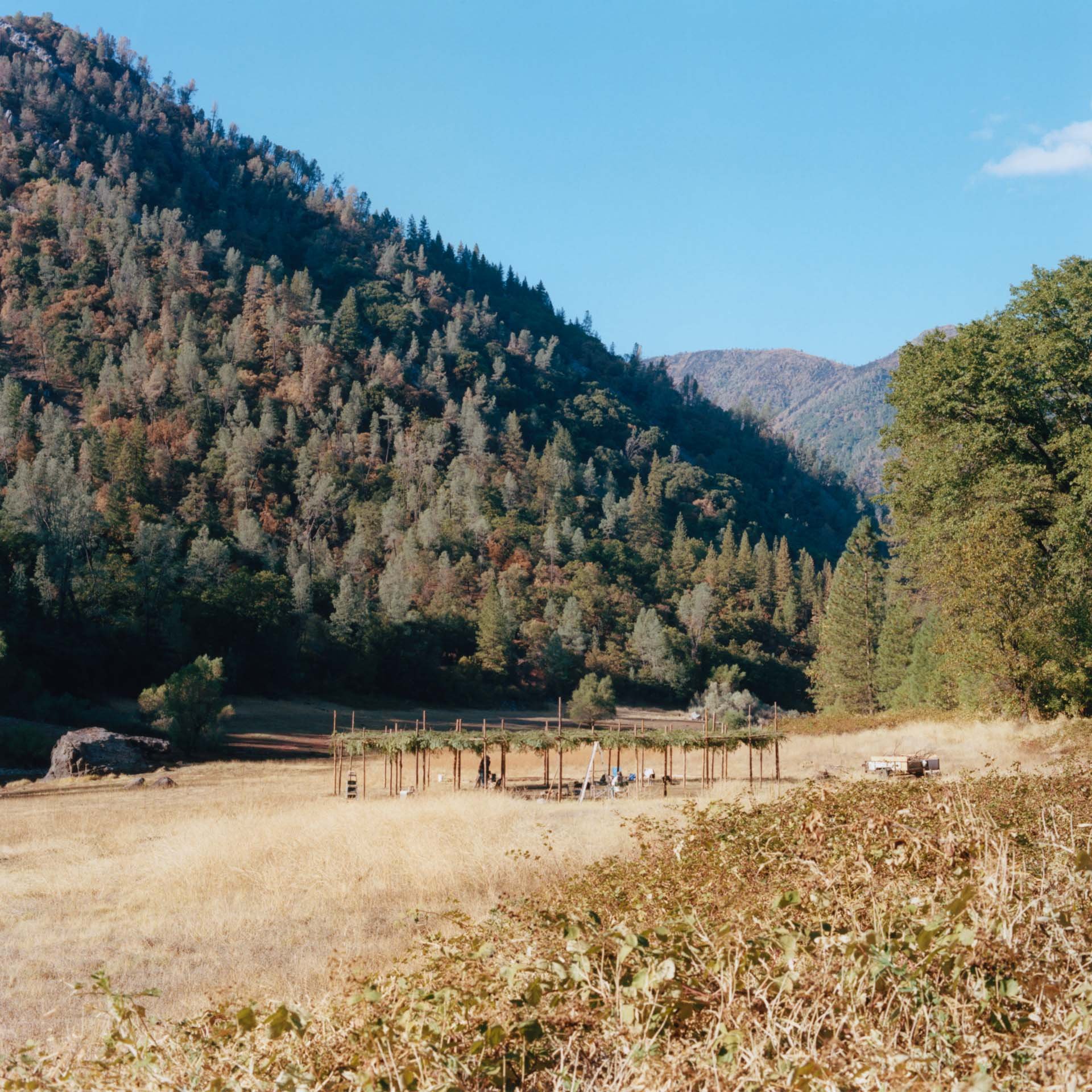 This ceremonial arbor was hand built by the men tribe using tree poles and branches. It was used for the closing ceremony of the 2018 Run4Salmon journey.