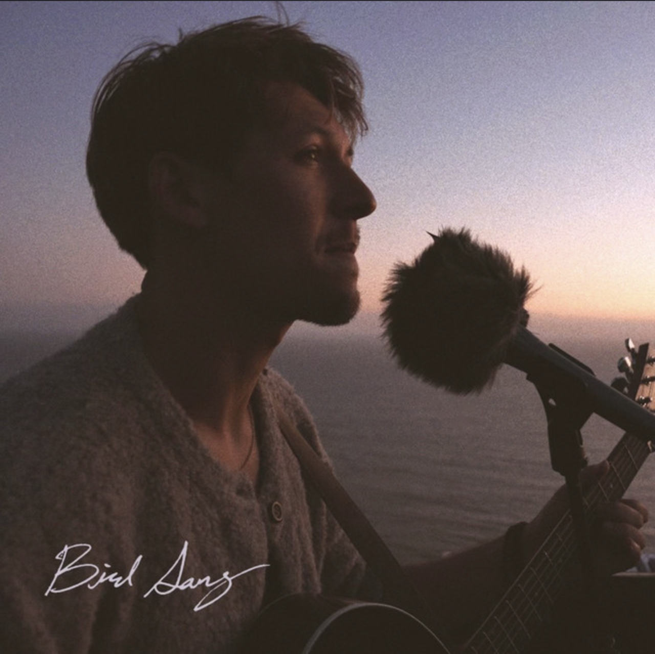 Noah Solt - Bird Song (SINGLE)