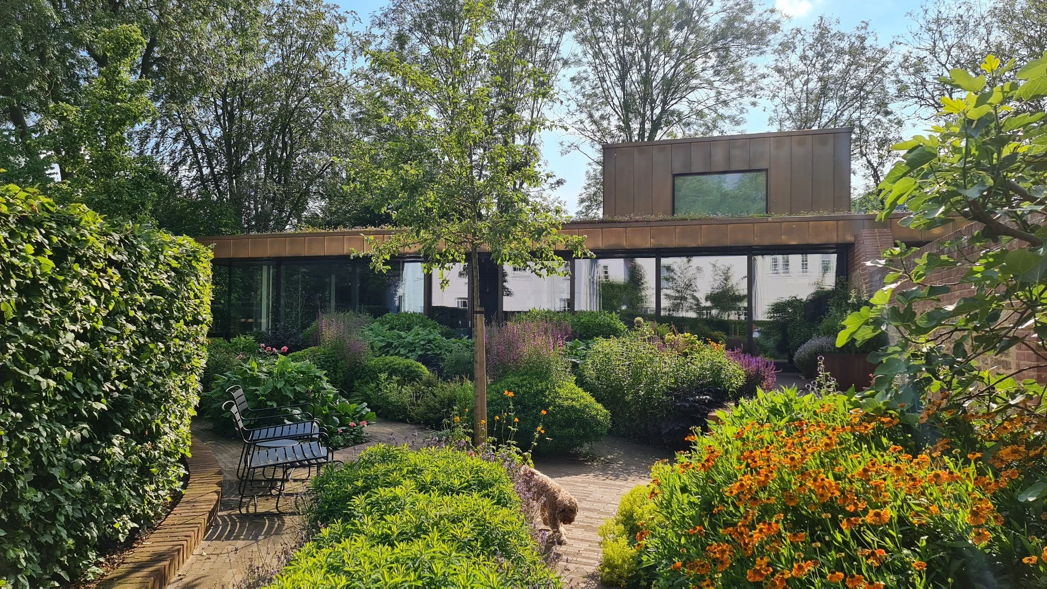 Nixon Kitchener Architects Ltd — Thoughtful Spaces Natural Places