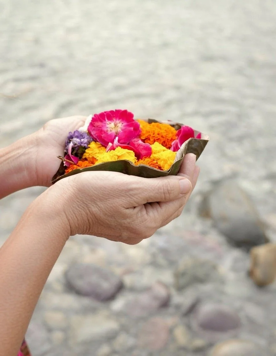 Person holding a small container with colorful flower petals and blossoms against a rocky shoreline background.