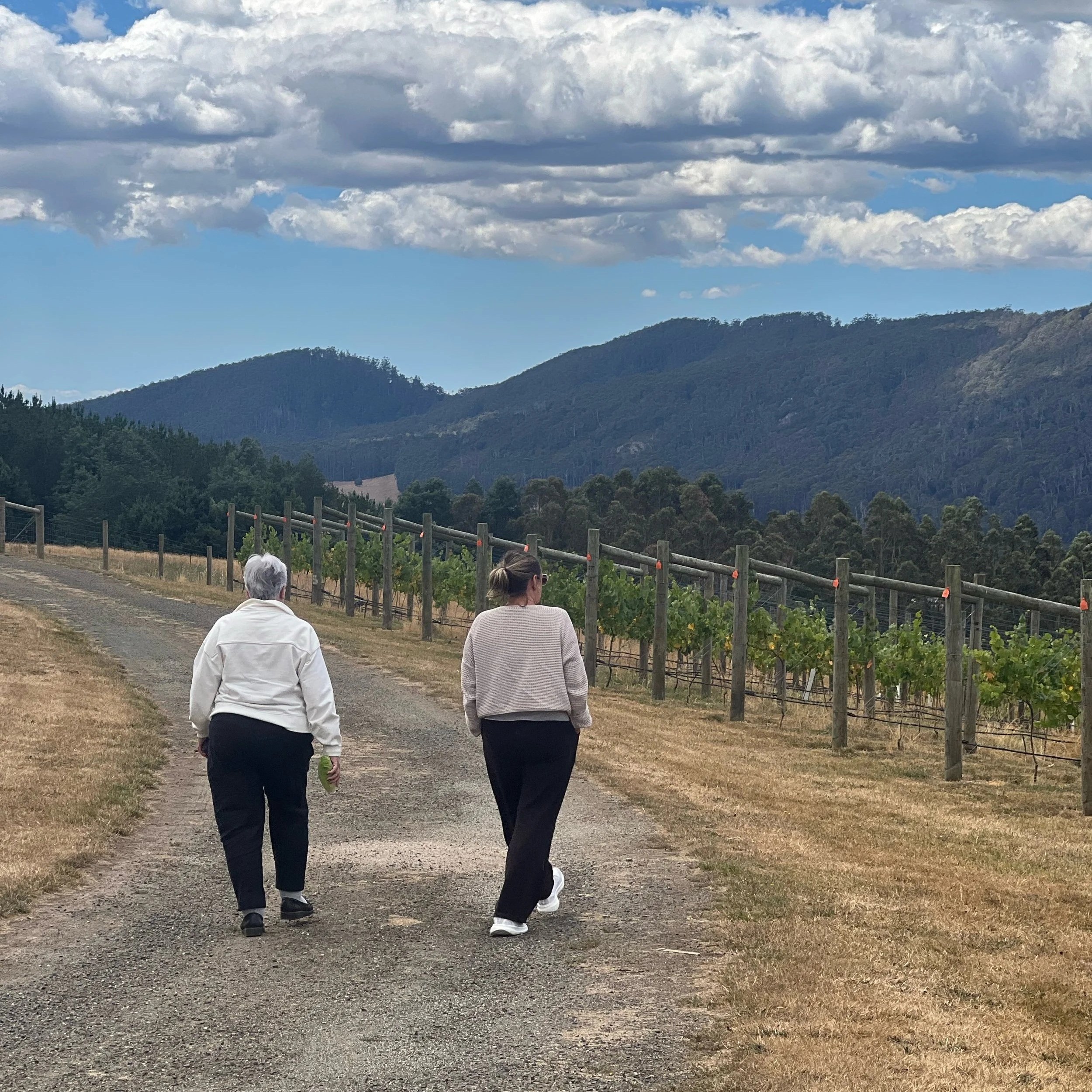 Two women stroll along a dirt road. Ahead there is a vineyard, mountains in shadow and low clouds against a blue sky.