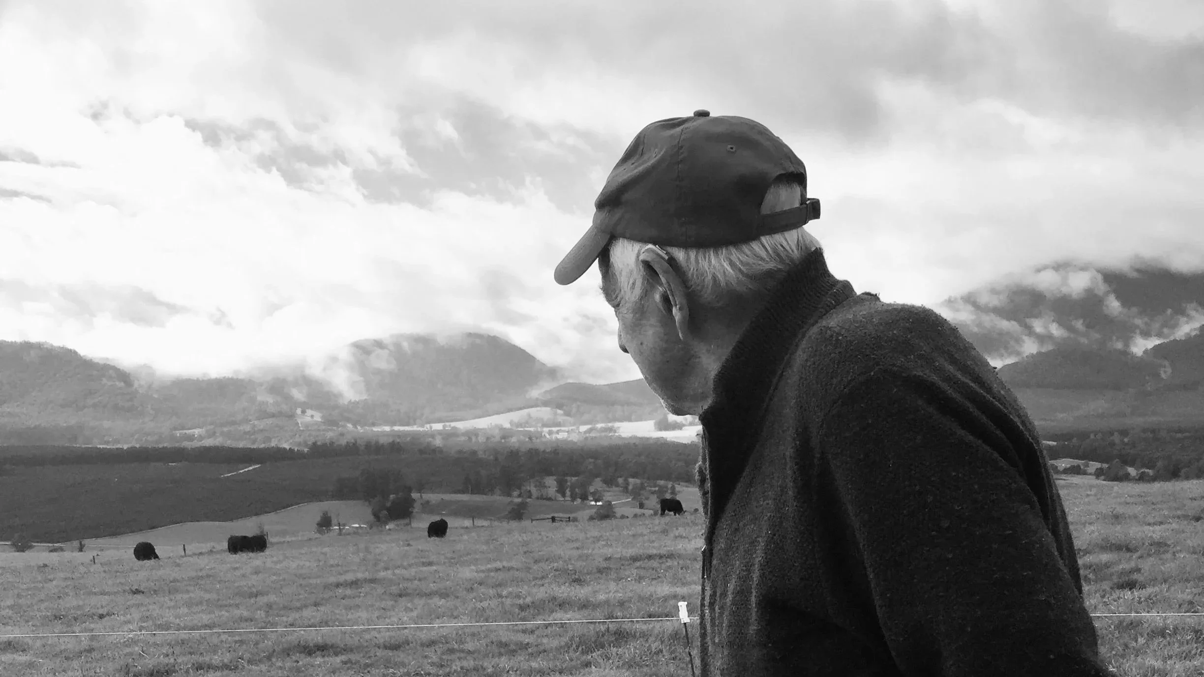 A black and white image of a man wearing a cap looking out over a field of cows with clouds and mountains in the distance.