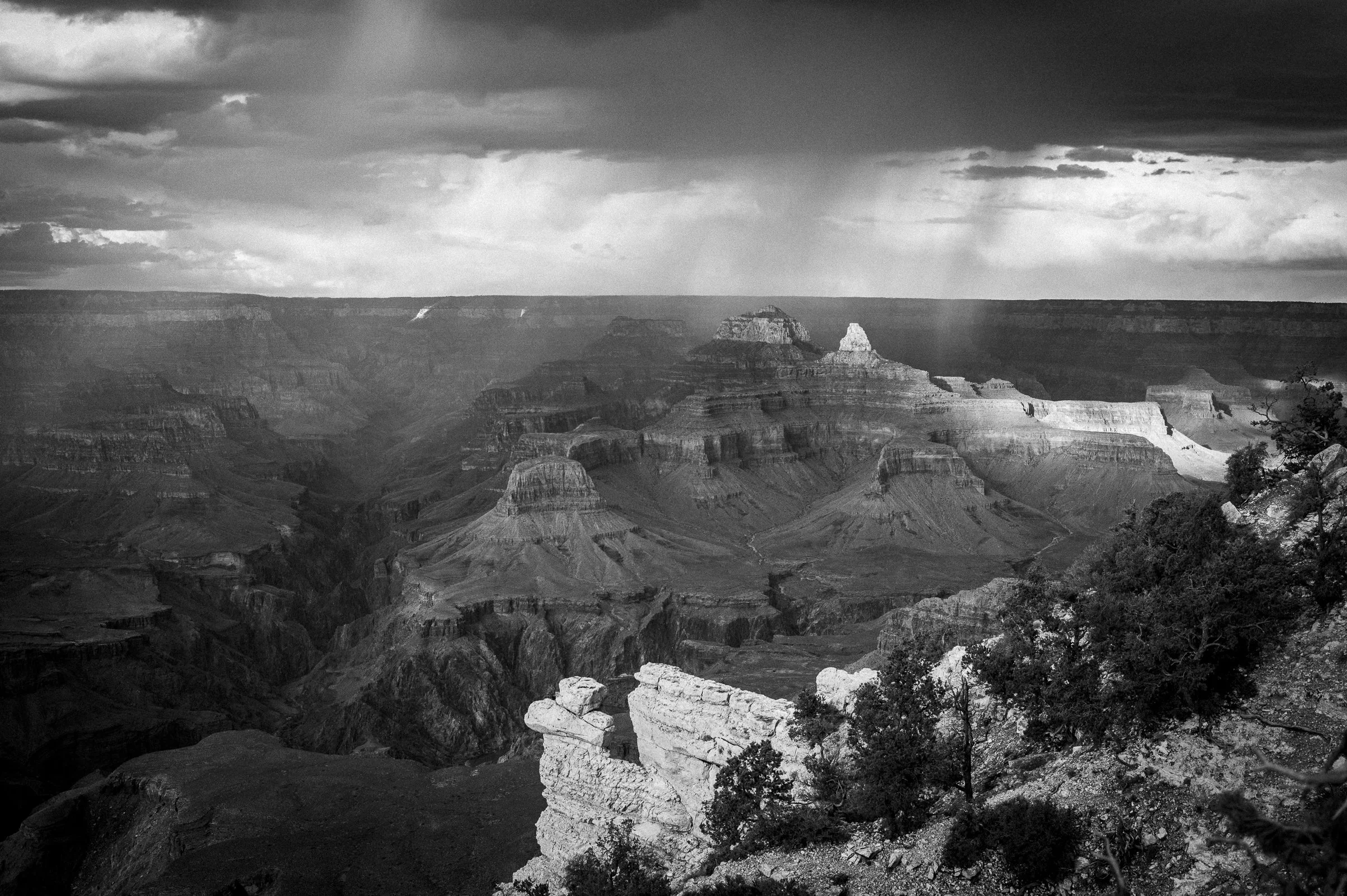 20170914-L1017918.jpg