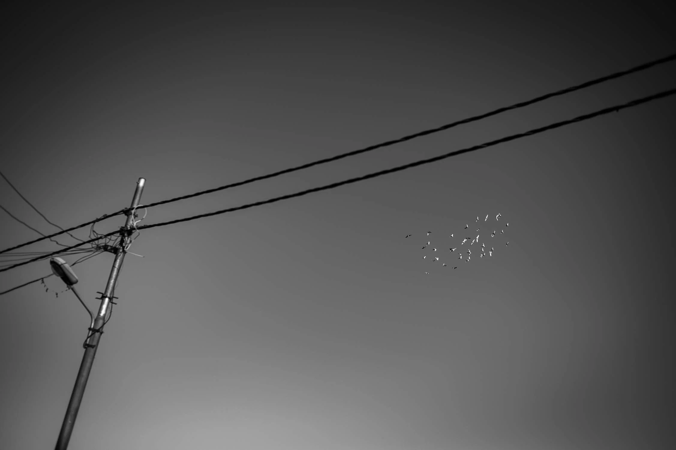 L1015674.jpg