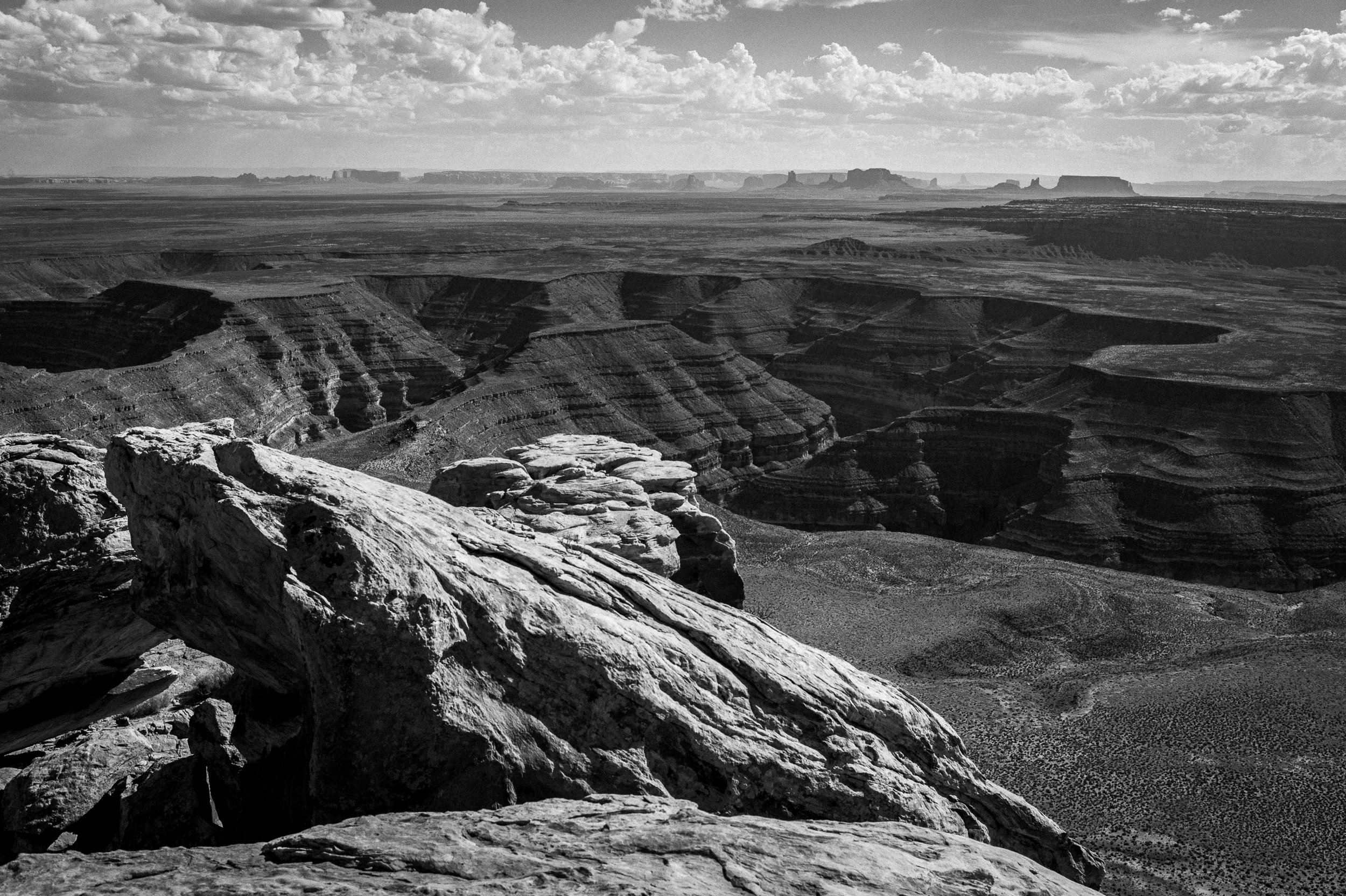 20170912-L1017877.jpg