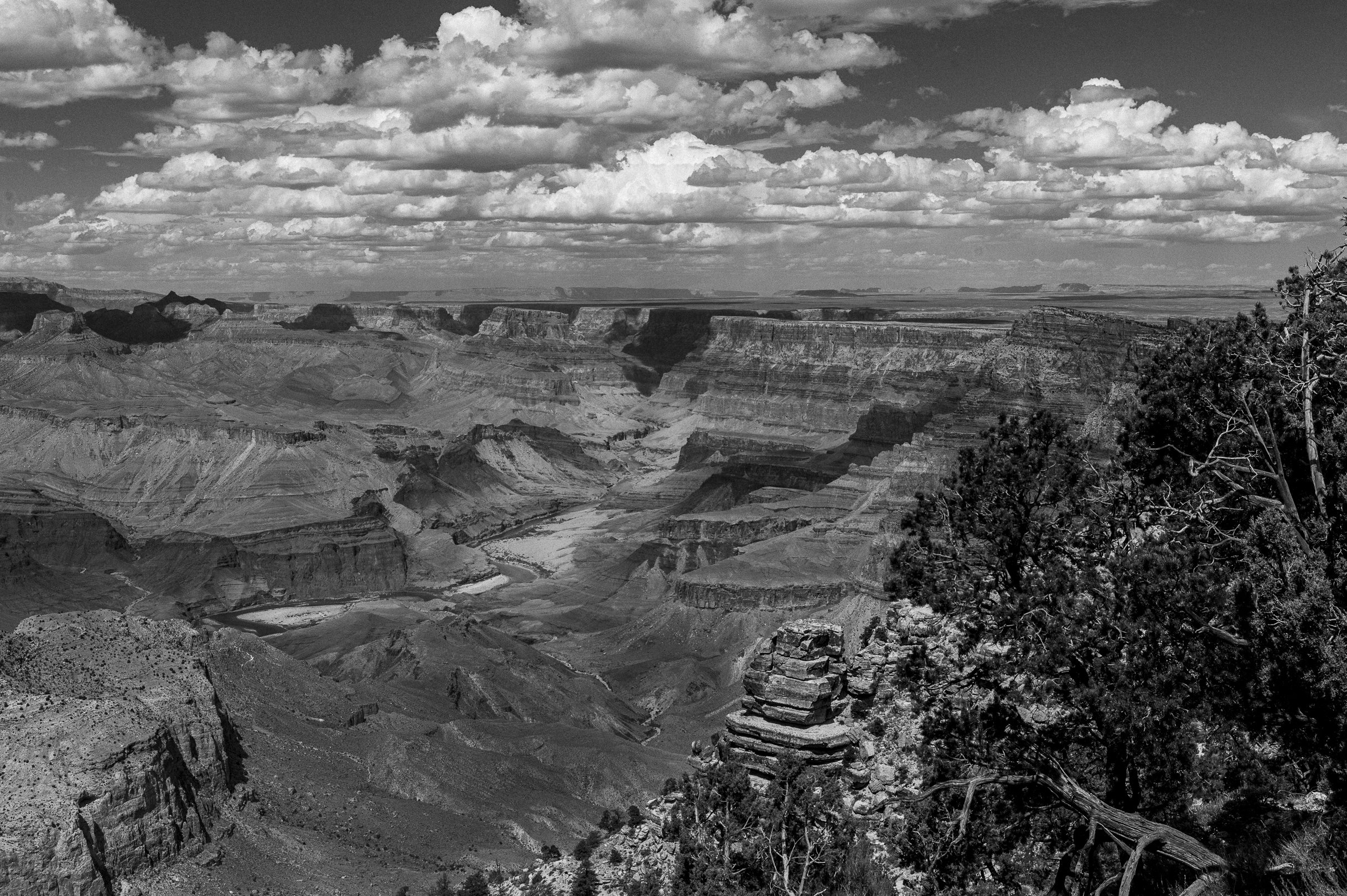 20170913-L1017880.jpg