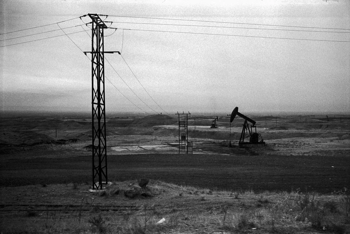 20250125-Trix400035.jpg