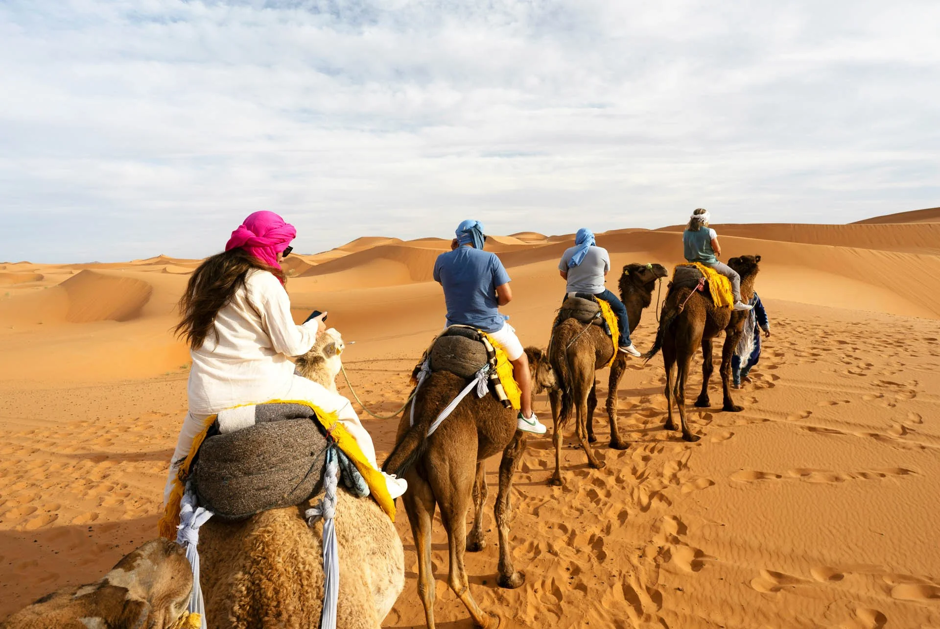  Camel Riding Experiences 
