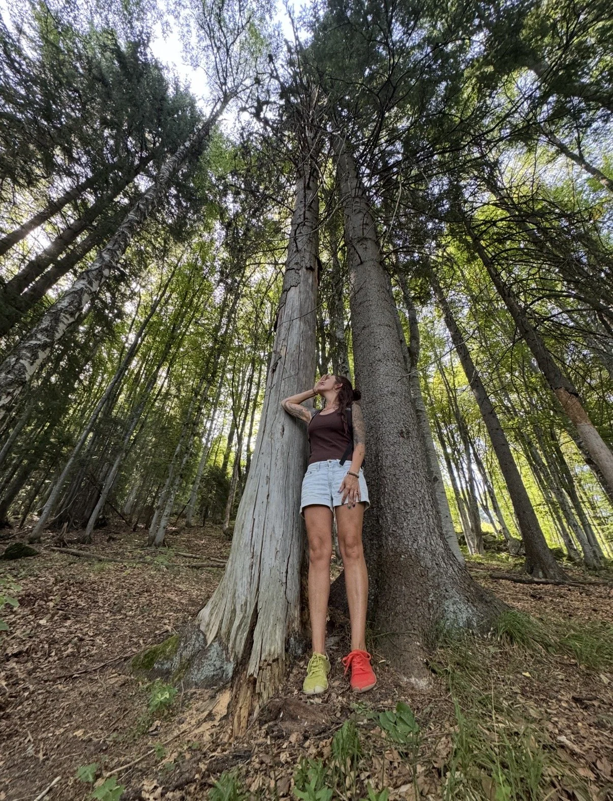 A woman standing in a forest, leaning against a tall, weathered tree trunk, surrounded by green trees and foliage, with her hand touching her face and looking upward.