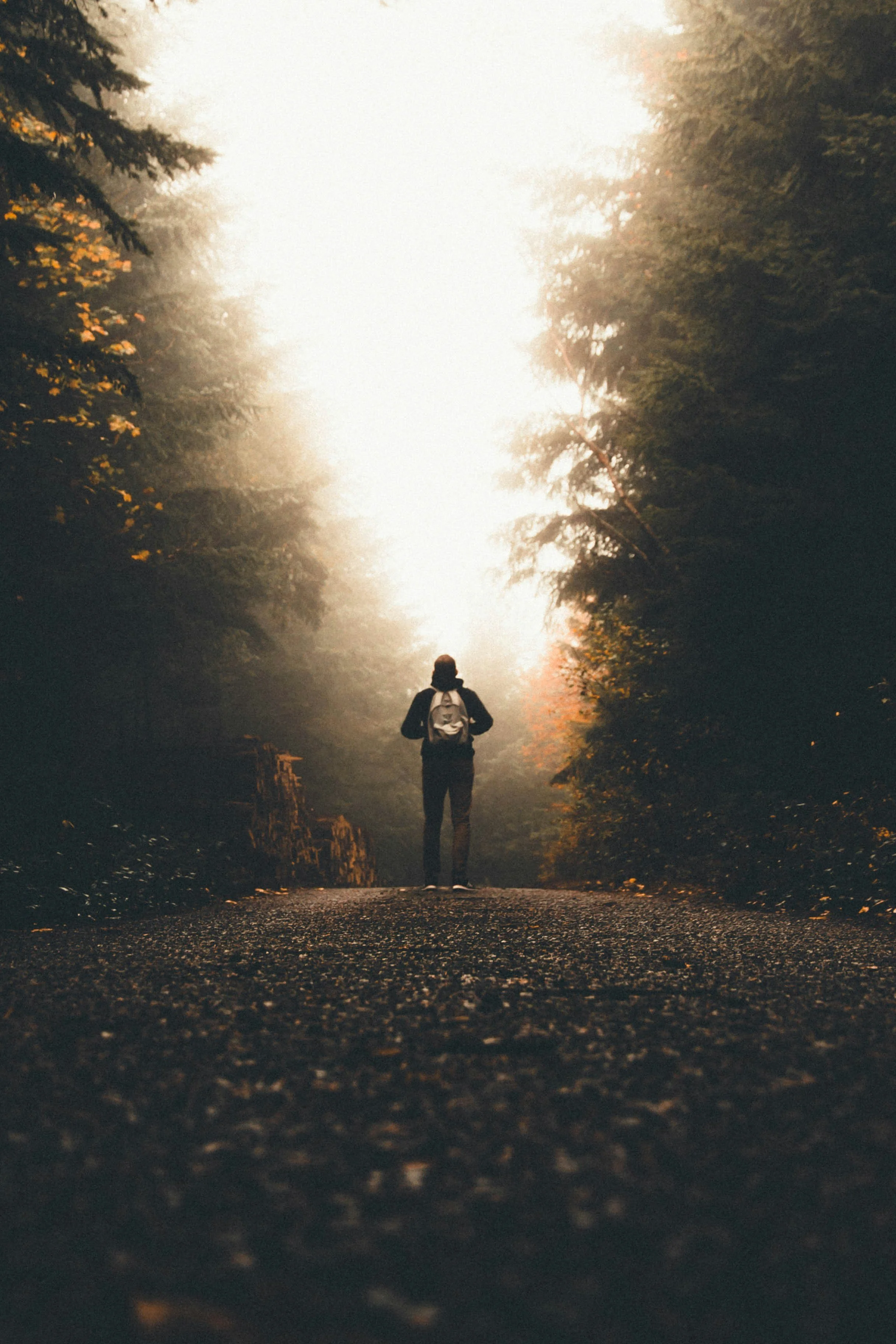 A person with a backpack walking down a forest trail during sunrise or sunset with trees on both sides and fog in the background.