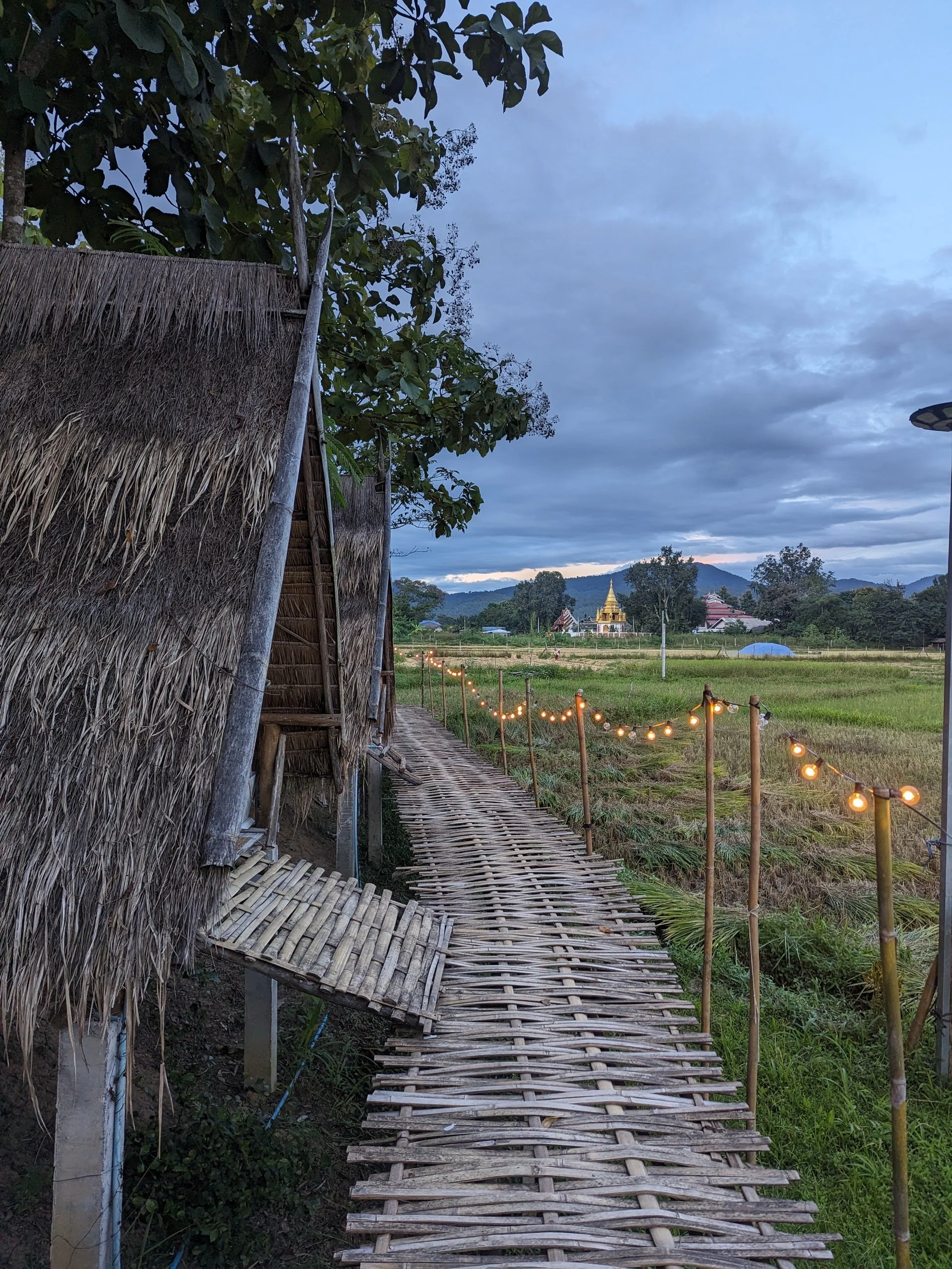 Bambushütte in Pai mit Blick auf das Reisfeld, im Hintergrund ist ein buddhistischer Tempel zu sehen