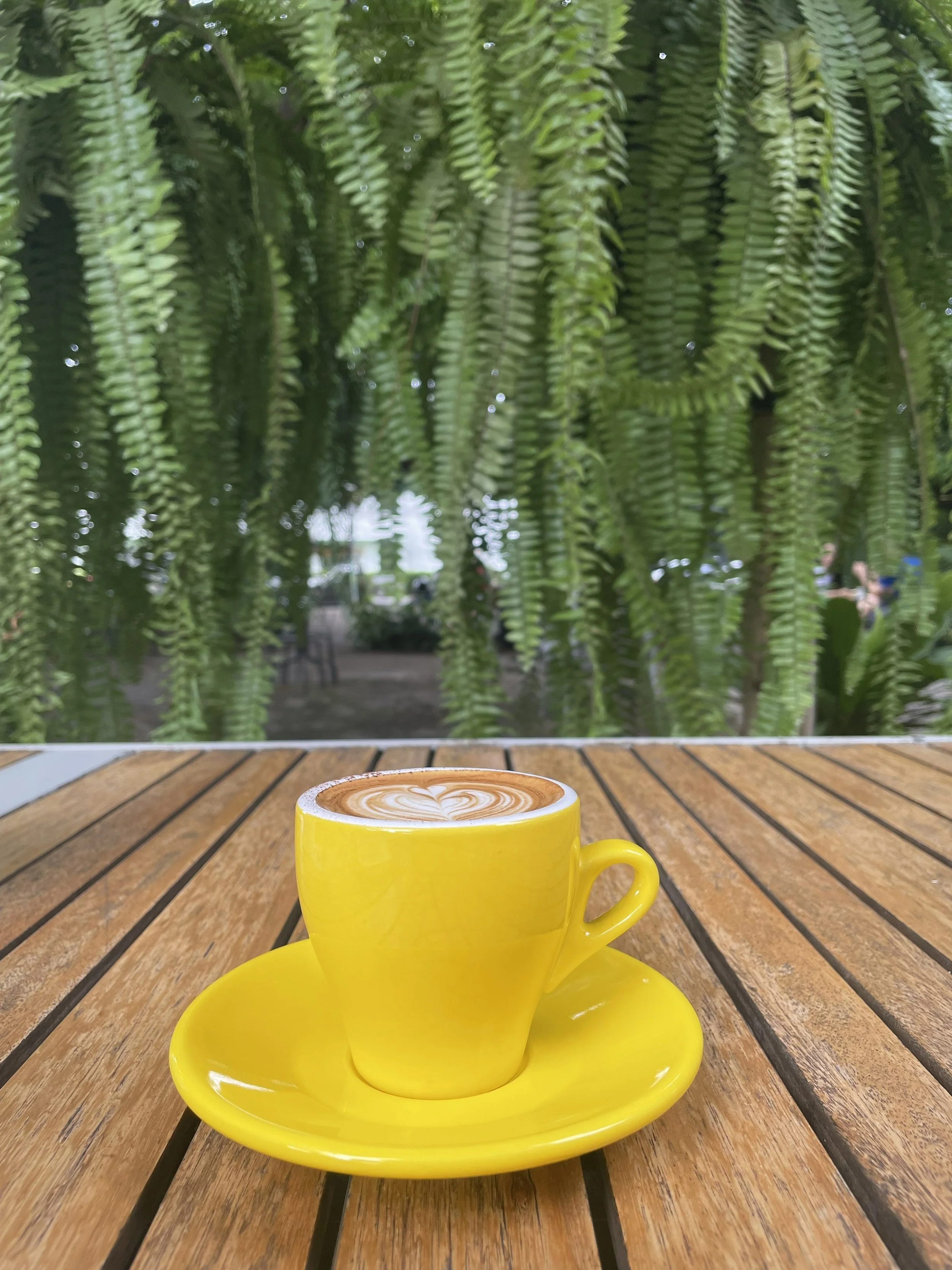 Coffee Culture in Chiang Mai