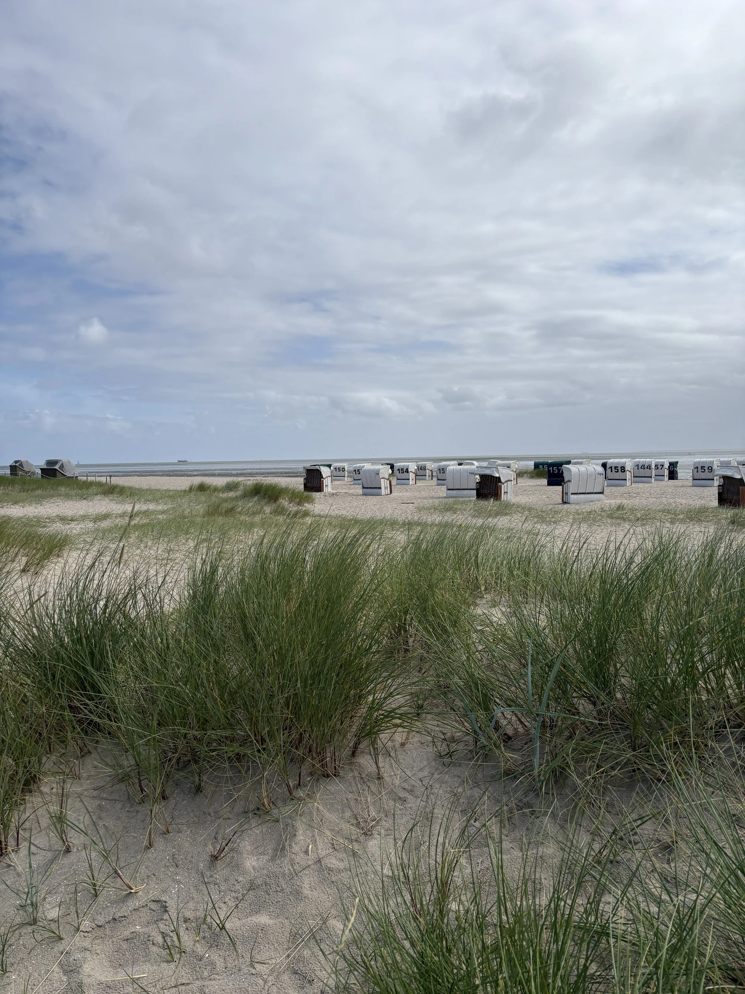 Nordsee_Dünen