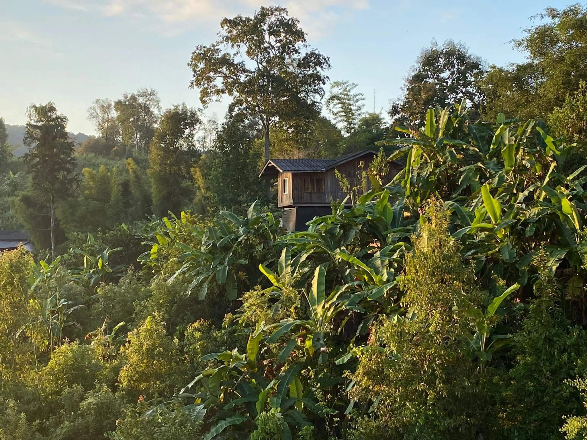 Thailands Norden: zwischen Tempeln, Bergdörfern und unvergesslichen Begegnungen