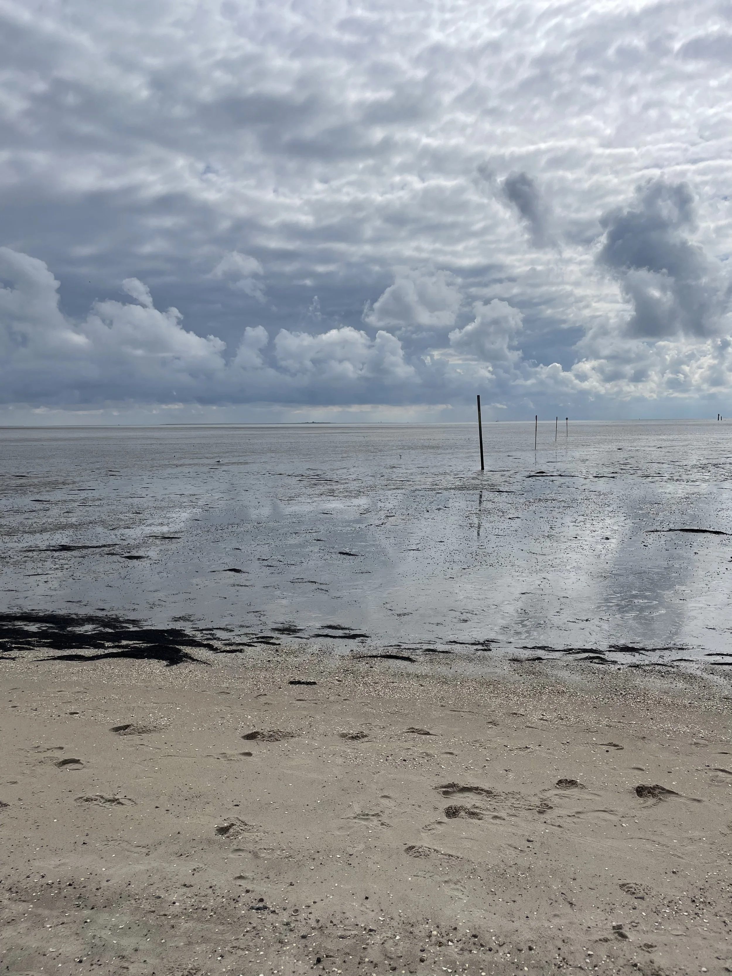 Foto vom Wattenmeer in Horumersiel-Schillig