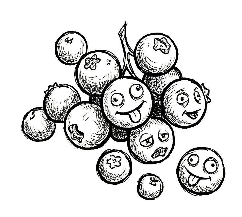 Ingredient - Blueberries.jpg