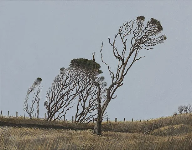 A barren tree with a leaning trunk on a grassy hillside, with a few other sparse trees in the background under a clear blue sky.