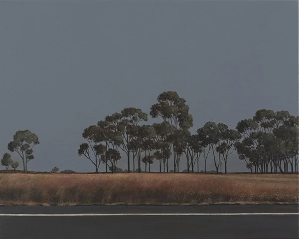 Landscape with a line of trees in the background and a road in the foreground.
