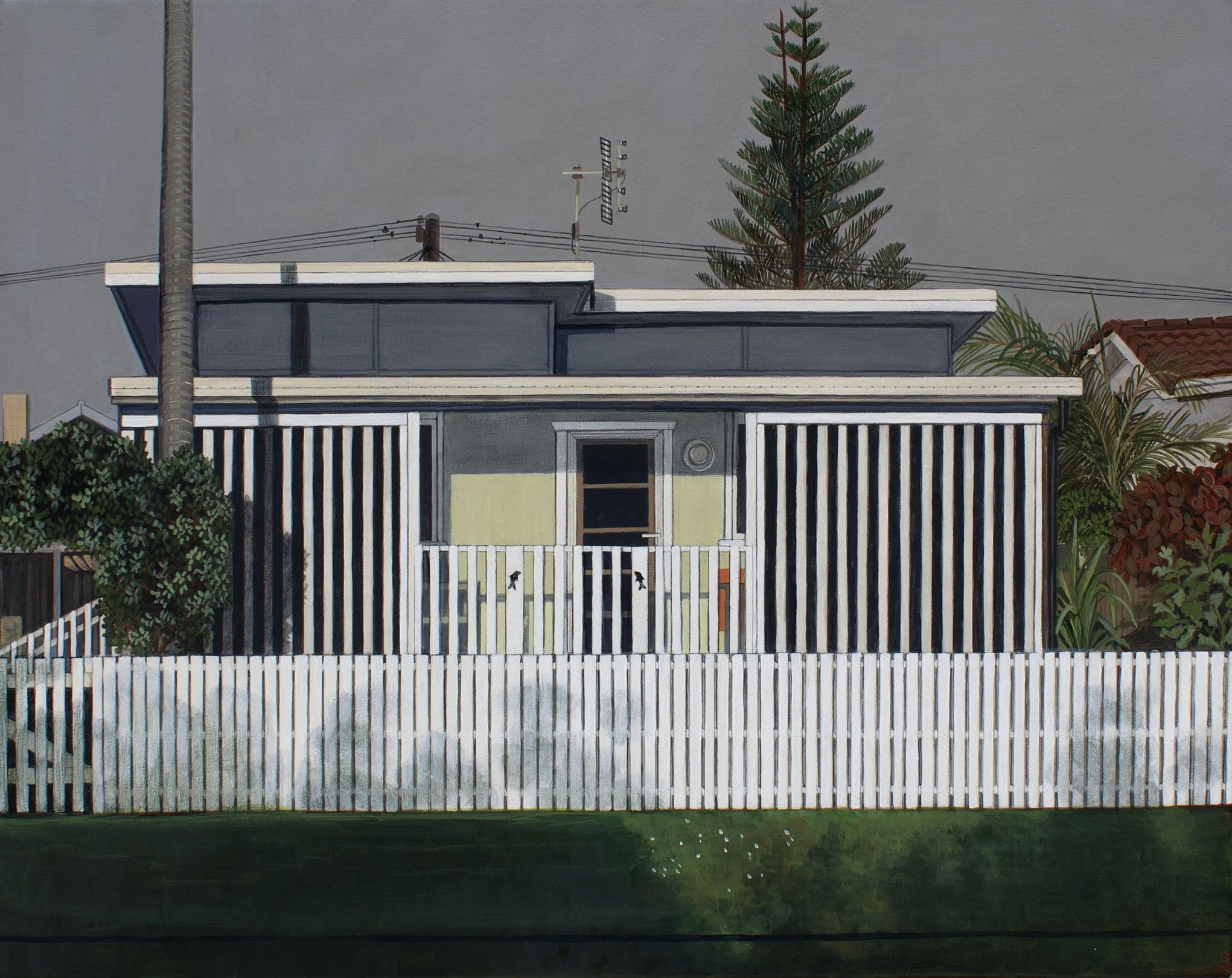 The image shows the exterior of a modern house with a flat roof, a gray facade, and a white wooden fence in front. There are two small dogs visible through the fence, and a grassy lawn with a few trees and shrubs surrounding the house.