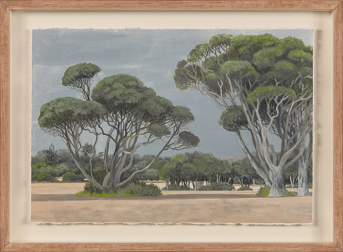 Moonah, 2020 | gouache on watercolour paper | 27.5 x 40 cm, 35 x 48 cm (framed)
