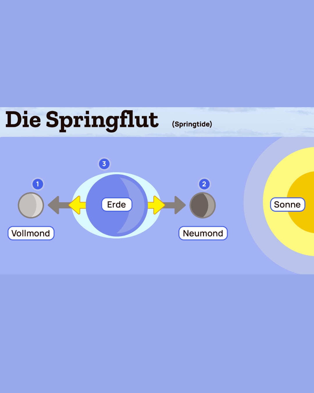 Digitales Lernformat für den Unterricht, Projekt diggies – Arbeitsprobe aus dem Portfolio von Nadine, Copywriterin Berlin