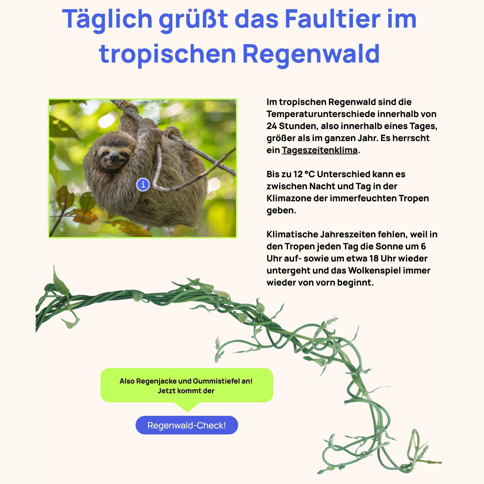 Digitales Lernformat für den Unterricht, Projekt diggies – Arbeitsprobe aus dem Portfolio von Nadine, Copywriterin Berlin
