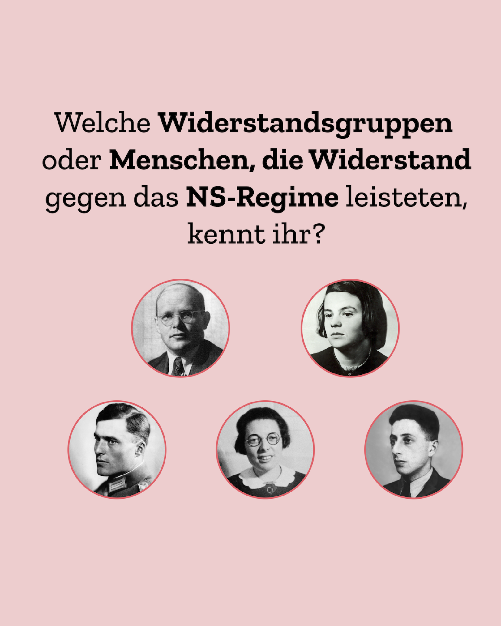 Digitales Lernformat für den Unterricht, Projekt diggies – Arbeitsprobe aus dem Portfolio von Nadine, Copywriterin Berlin