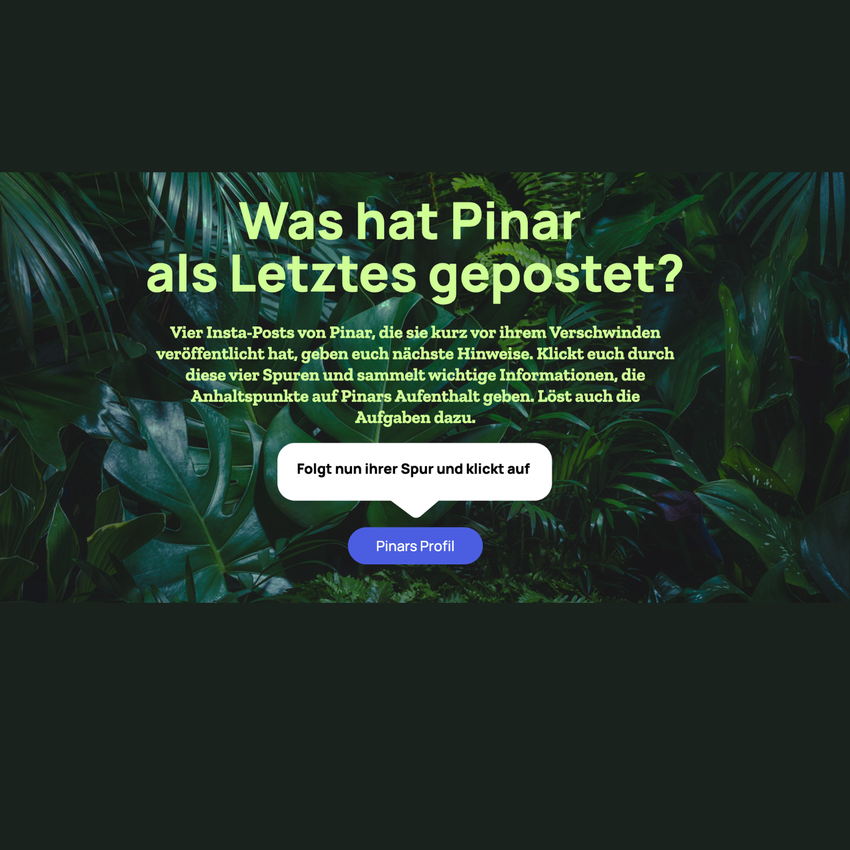 Digitales Lernformat für den Unterricht, Projekt diggies – Arbeitsprobe aus dem Portfolio von Nadine, Copywriterin Berlin