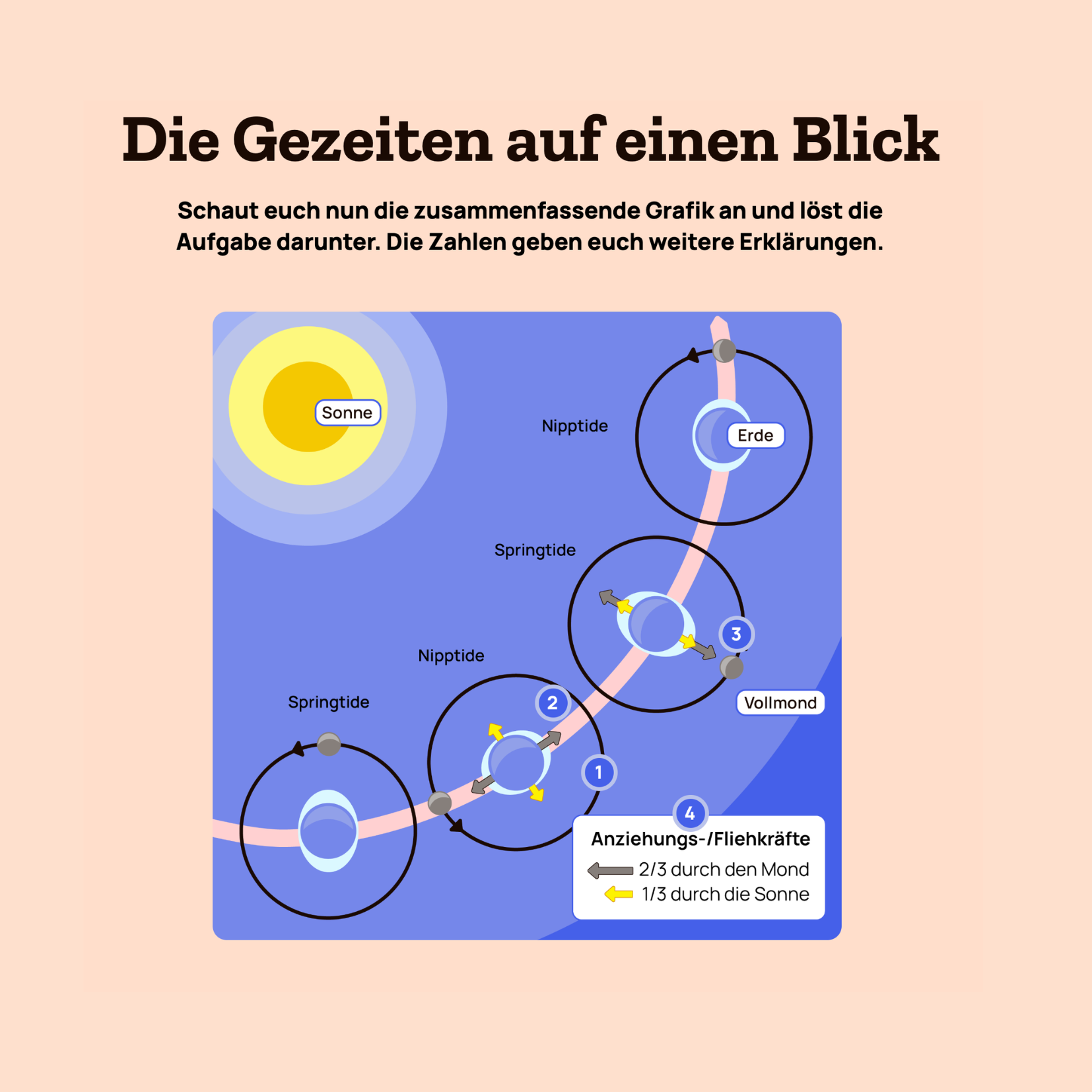 Digitales Lernformat für den Unterricht, Projekt diggies – Arbeitsprobe aus dem Portfolio von Nadine, Copywriterin Berlin