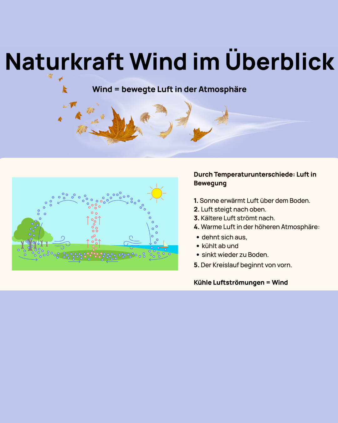 Digitales Lernformat für den Unterricht, Projekt diggies – Arbeitsprobe aus dem Portfolio von Nadine, Copywriterin Berlin