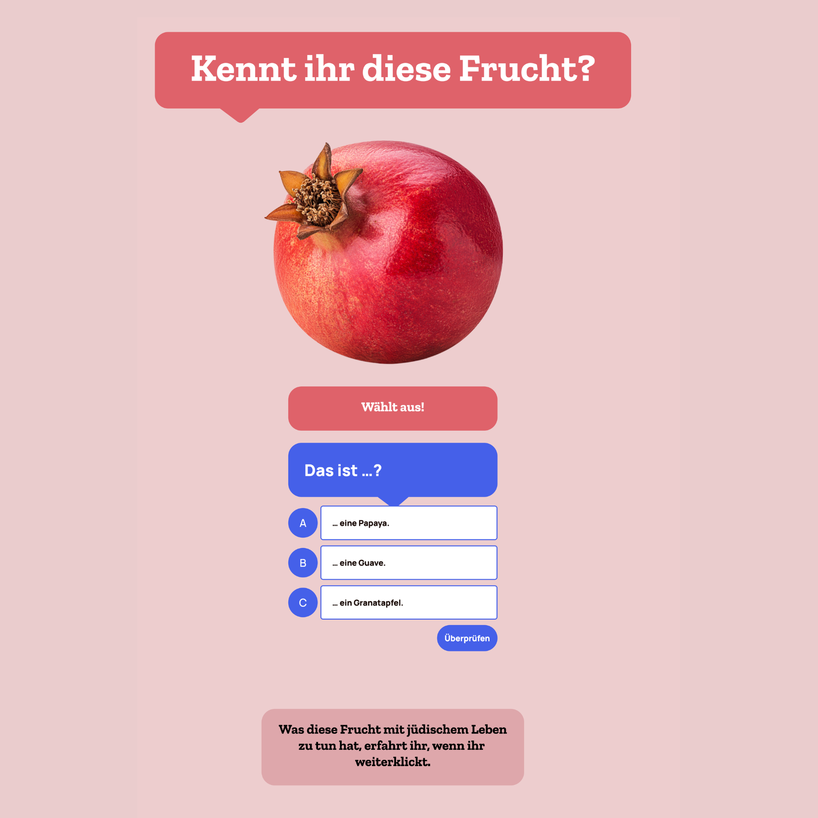 Digitales Lernformat für den Unterricht, Projekt diggies – Arbeitsprobe aus dem Portfolio von Nadine, Copywriterin Berlin
