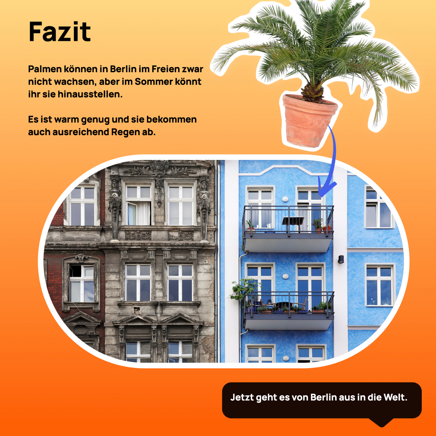 Digitales Lernformat für den Unterricht, Projekt diggies – Arbeitsprobe aus dem Portfolio von Nadine, Copywriterin Berlin