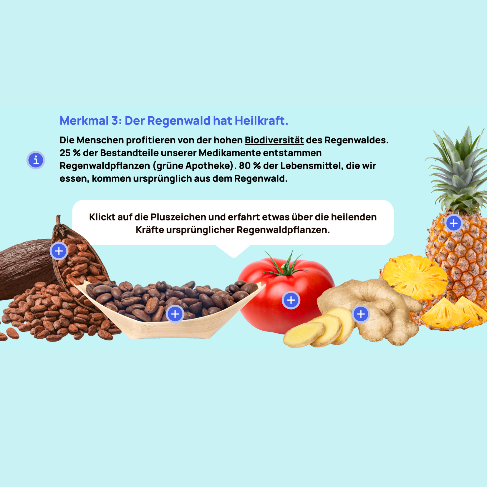 Digitales Lernformat für den Unterricht, Projekt diggies – Arbeitsprobe aus dem Portfolio von Nadine, Copywriterin Berlin