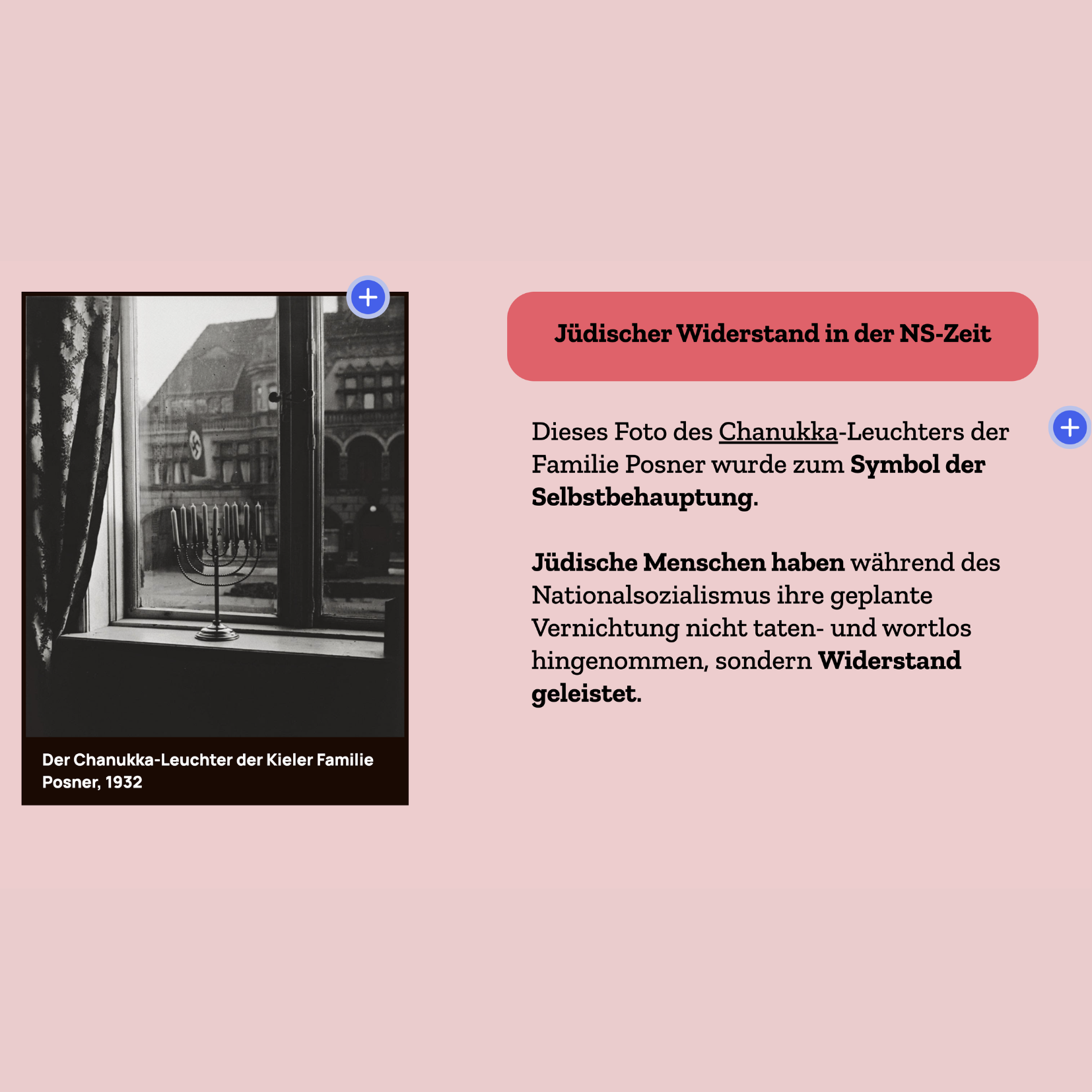 Digitales Lernformat für den Unterricht, Projekt diggies – Arbeitsprobe aus dem Portfolio von Nadine, Copywriterin Berlin
