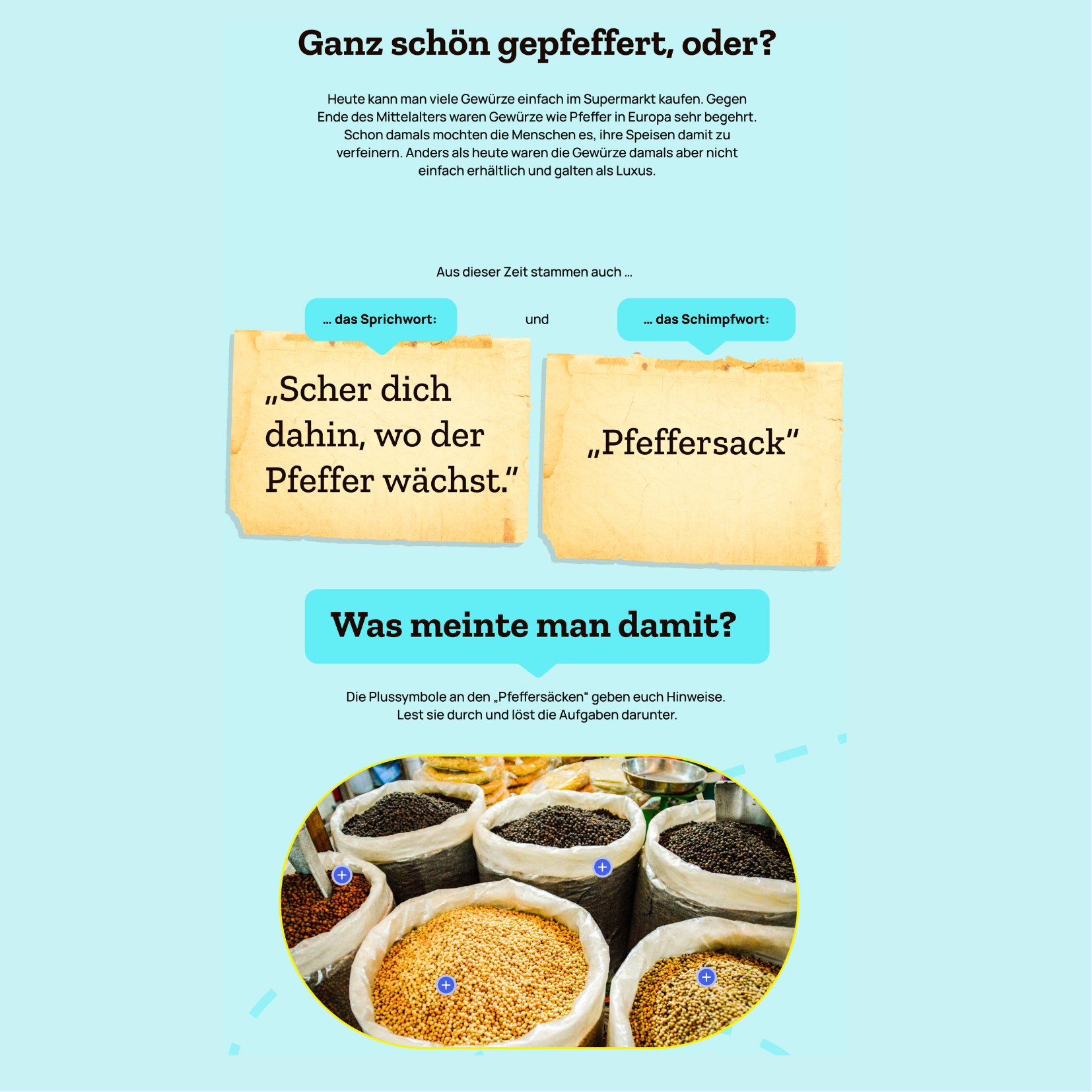 Digitales Lernformat für den Unterricht, Projekt diggies – Arbeitsprobe aus dem Portfolio von Nadine, Copywriterin Berlin